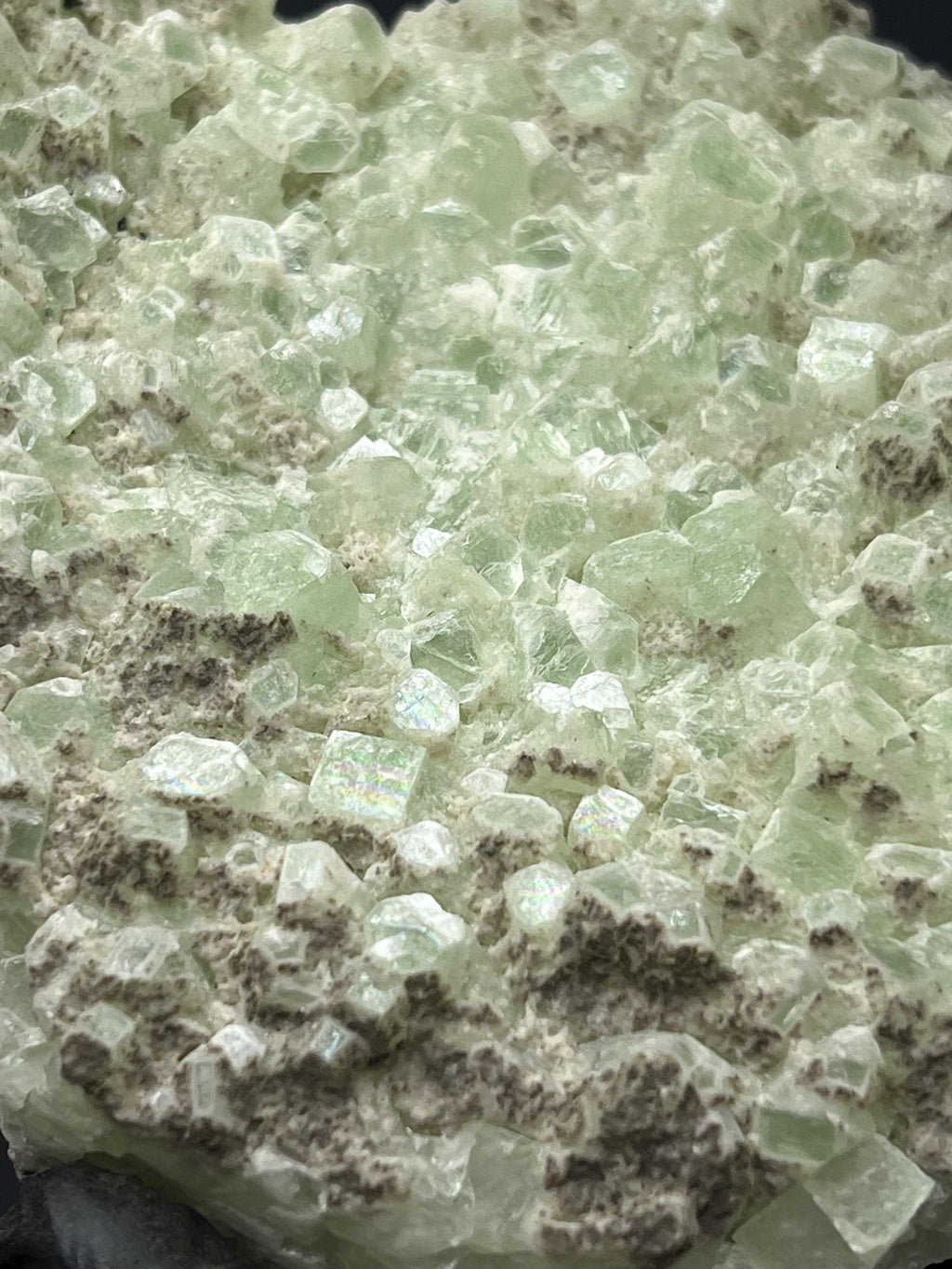 Indian Apophyllite Specimen: "Bringer of Light" Crystal - Crystal Gemstone AE 