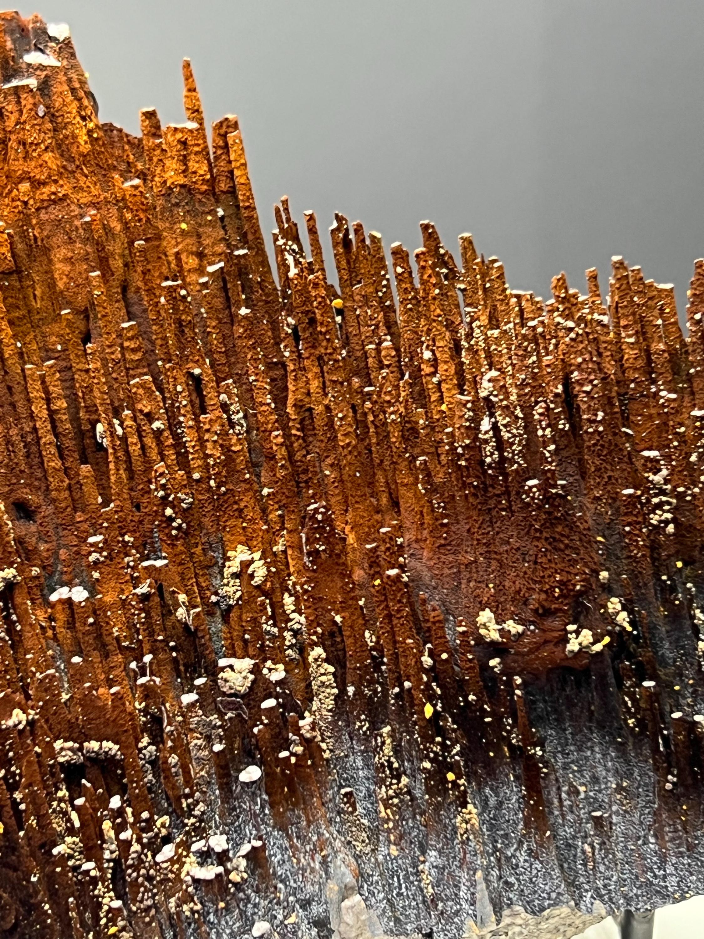 Museum Grade Limonite With Velvet Function Stalactite Goethite - Crystal Gemstone AE 