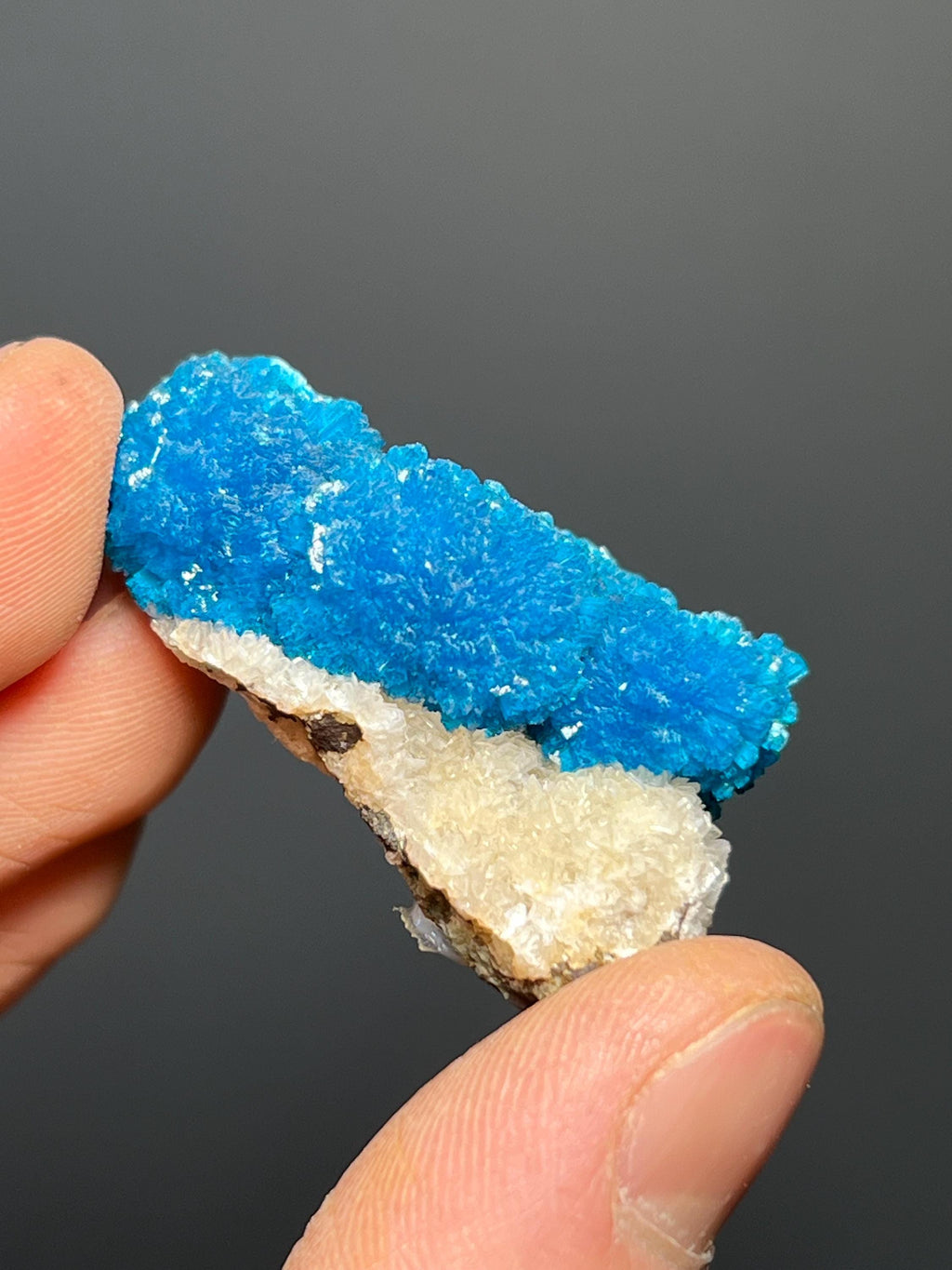Museum Grade, Cavansite Specimen - India - Crystal Gemstone AE 