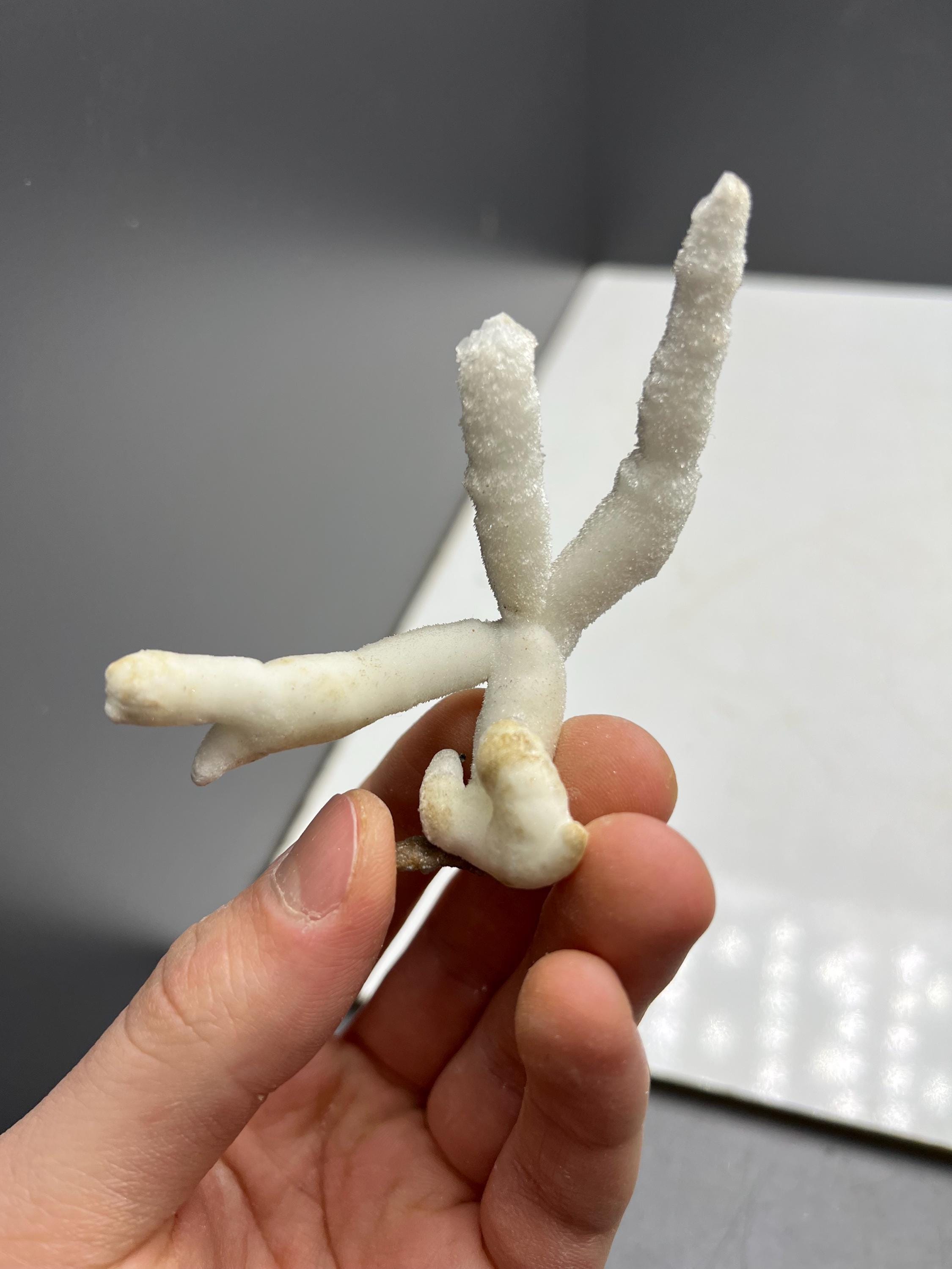 Very Very Special Stalactite Aragonite Mineral, From Turkey - Crystal Gemstone AE 