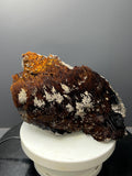 Museum Grade, Limonite And Specularite With Stalactite Goethite Specimen, For Special Collection Piece! - Crystal Gemstone AE 