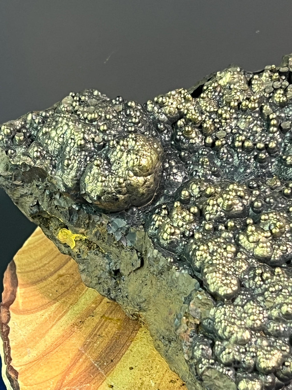 "Museum Grade" Golden Color Botryoidal Goethite - Crystal Gemstone AE 