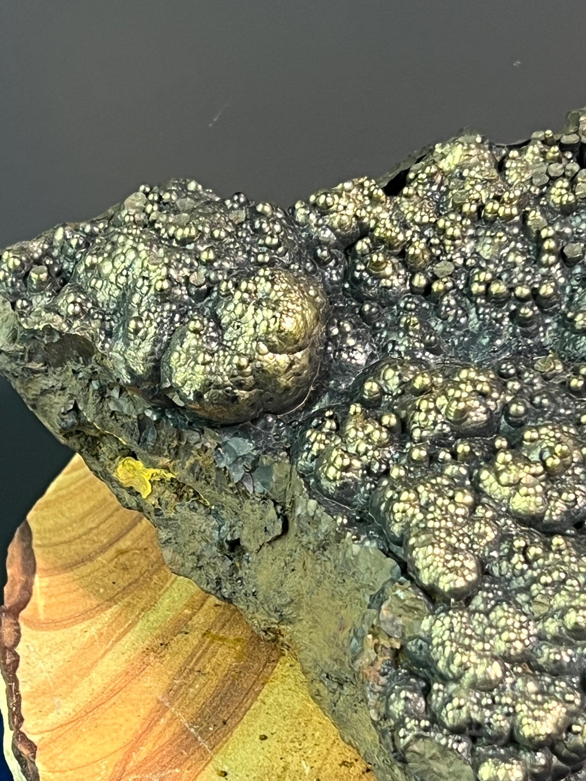 "Museum Grade" Golden Color Botryoidal Goethite - Crystal Gemstone AE 