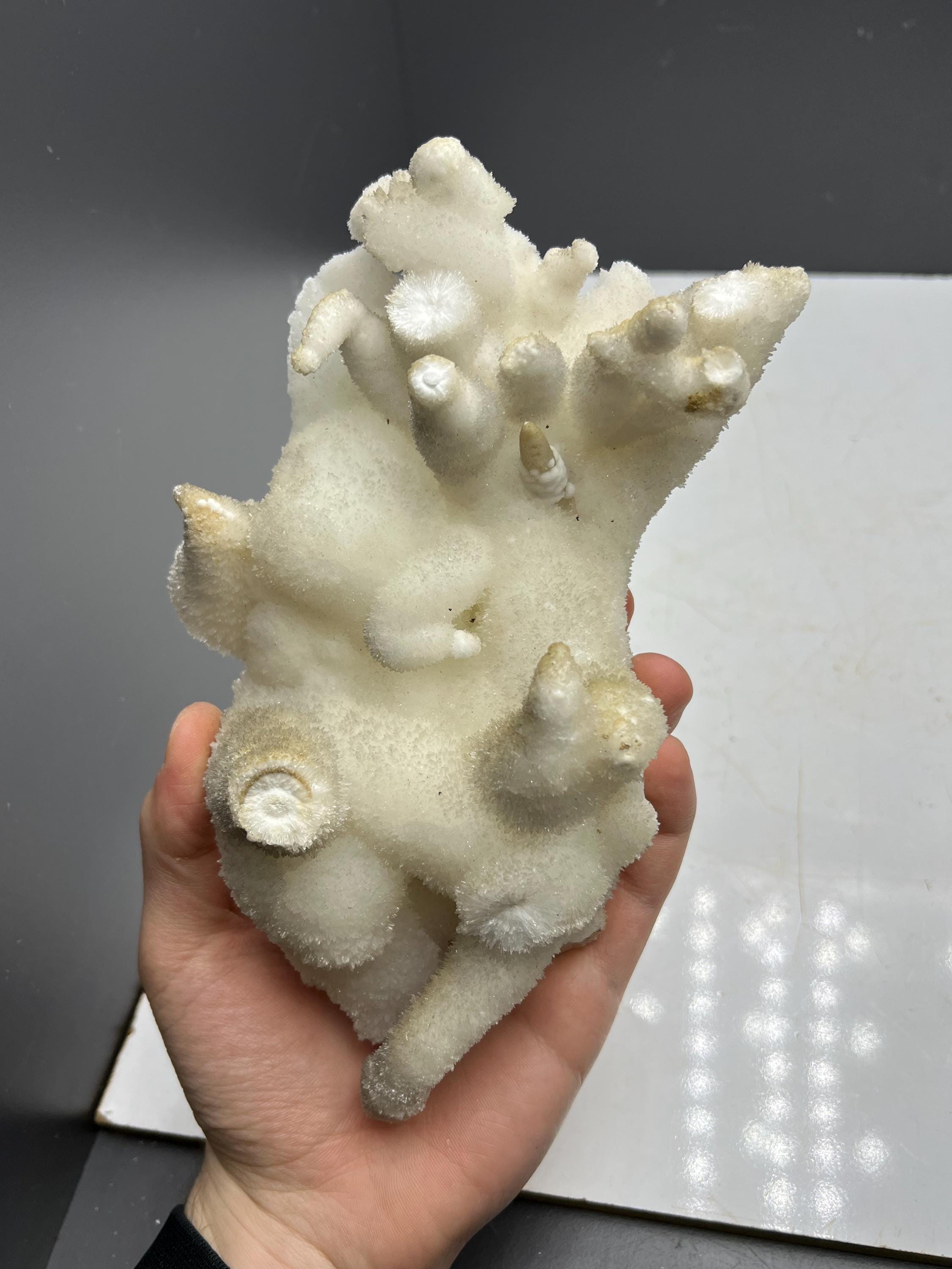 Special Formed Large Size Stalactite Aragonite Mineral, From Turkey - Crystal Gemstone AE 