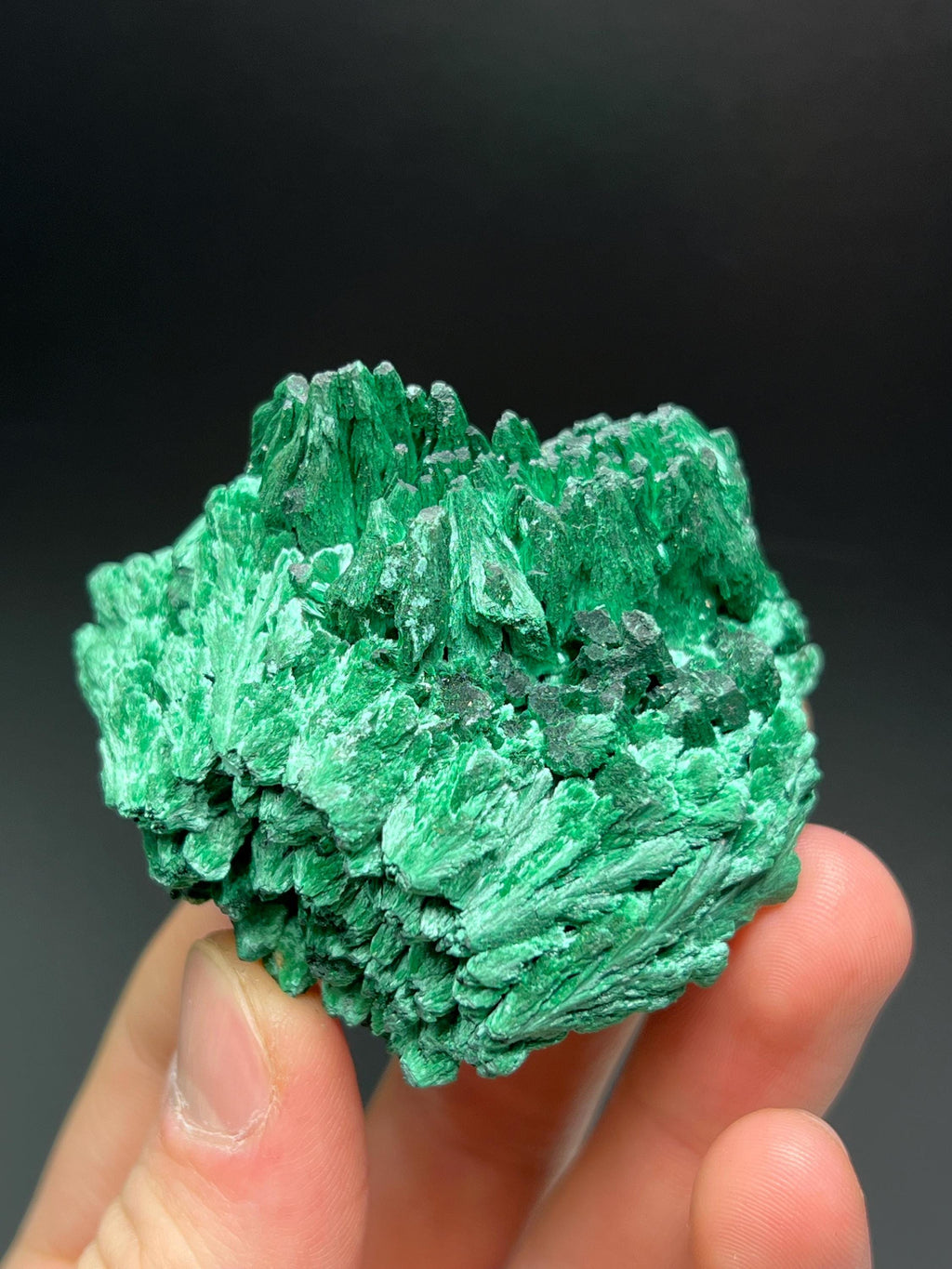 Showy Malachite Specimen - Crystal Gemstone AE 