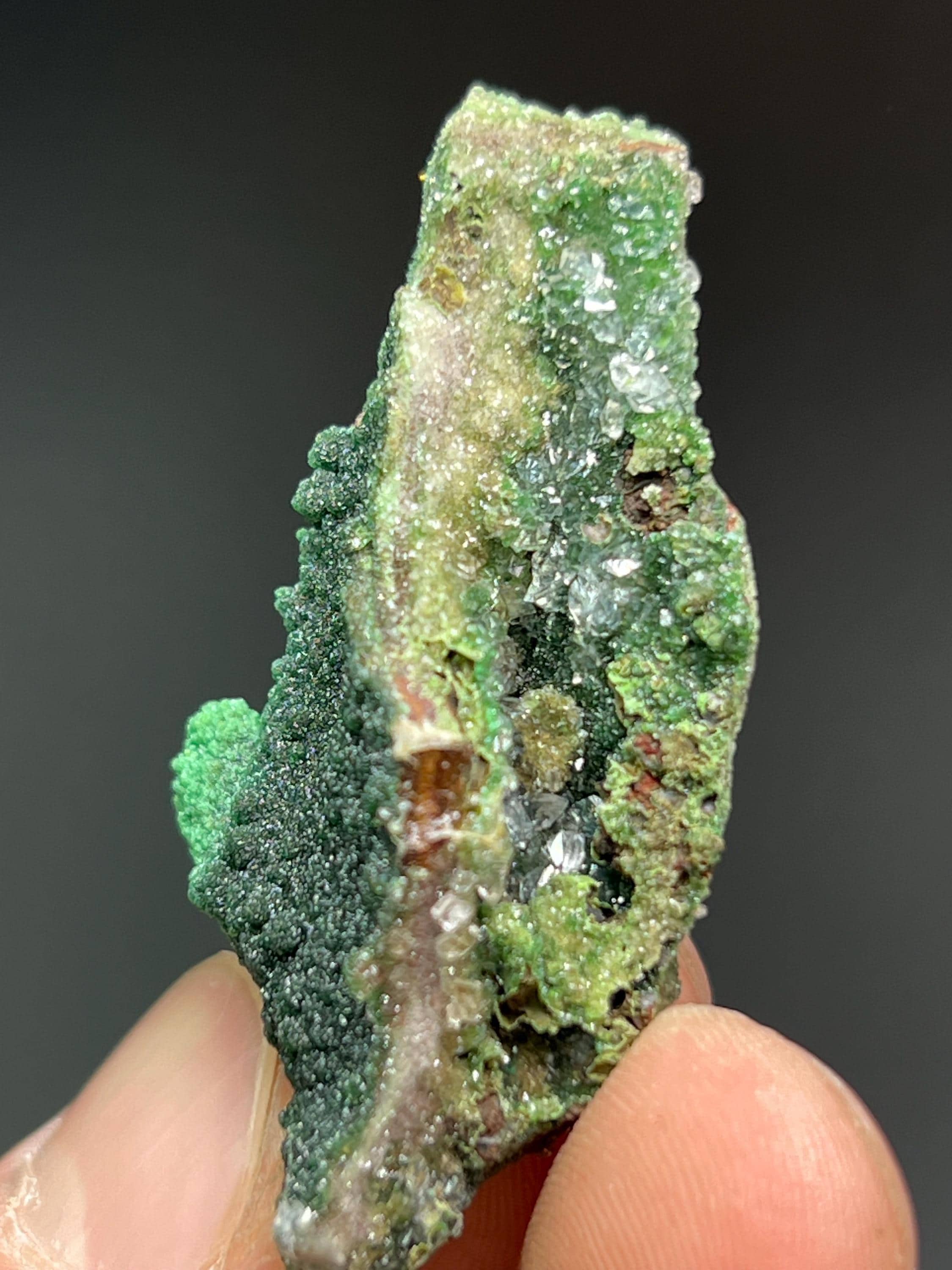 Conichalcite, Malachite With Cuprite Specimen - Crystal Gemstone AE 