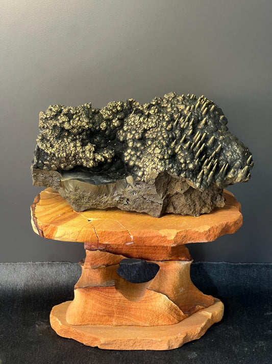 Museum Grade! Very Showy Golden Color Stalactite And Botryoidal Formation Goethite Specimen - Crystal Gemstone AE 