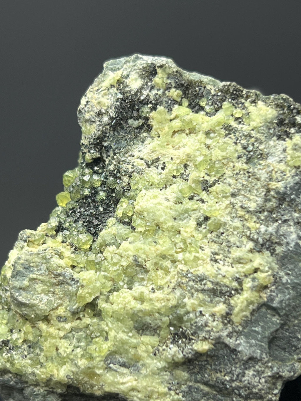 Peridot Specimen - Pakistan - Crystal Gemstone AE 
