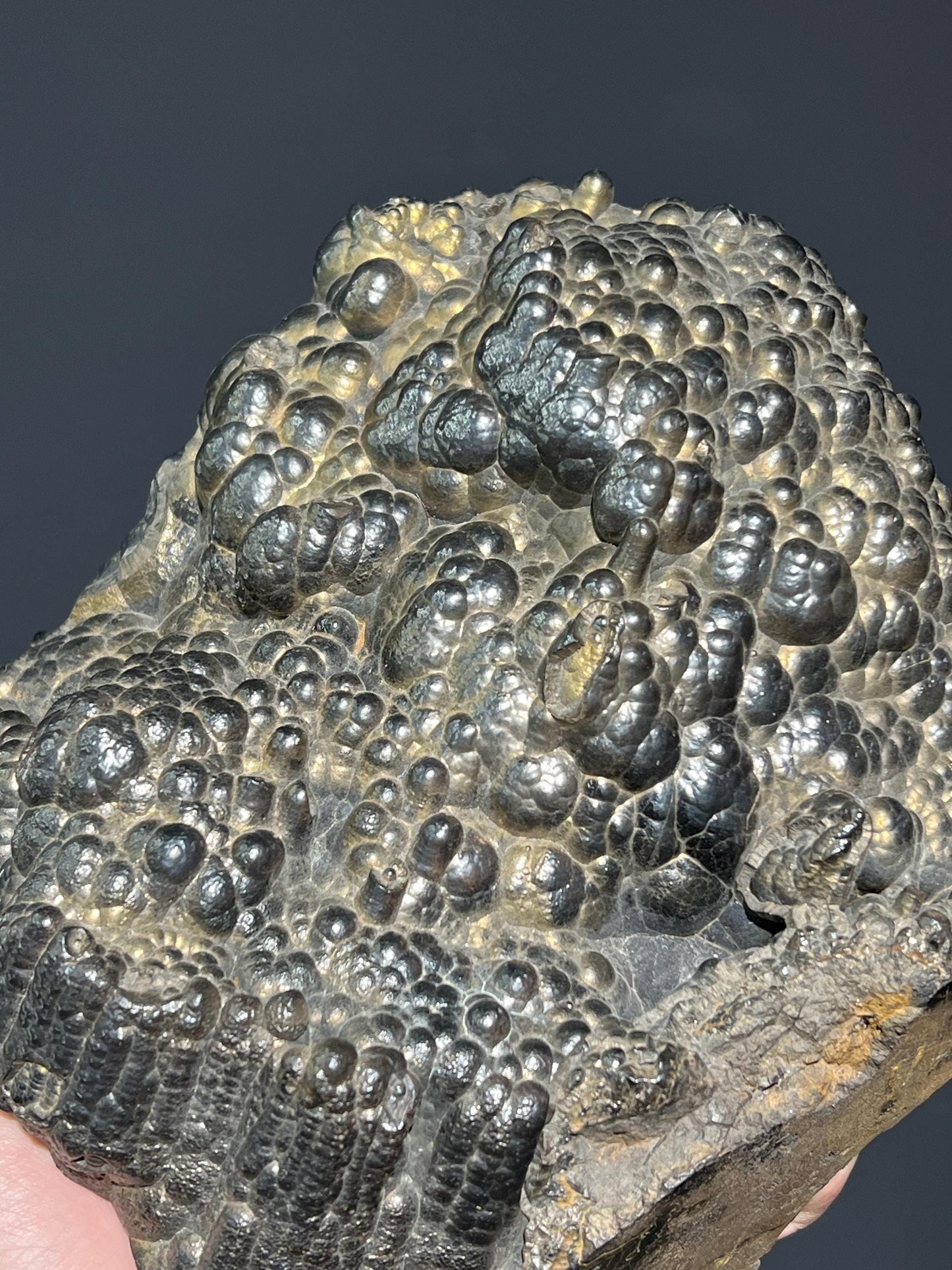 Museum Quality Showy Large Size Golden Color Botryoidal Goethite - Crystal Gemstone AE 