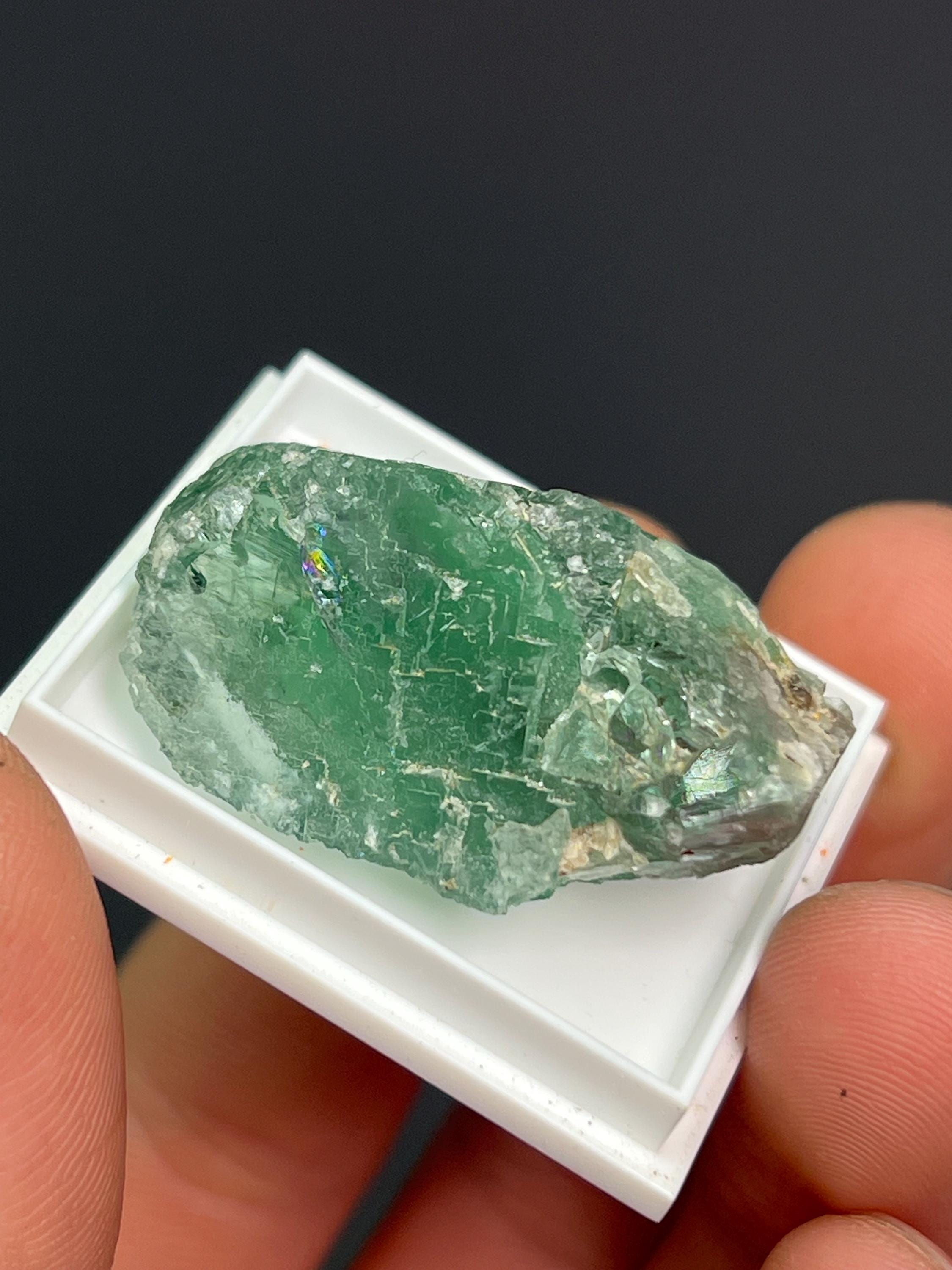 Green Fluorite Specimen - Crystal Gemstone AE 