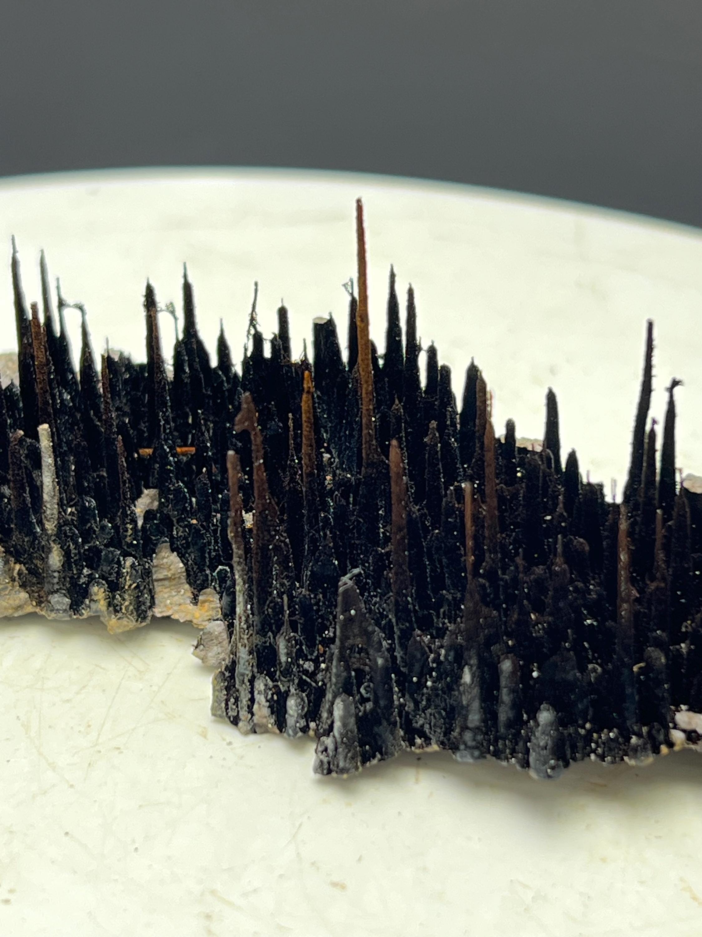 Museum Piece! Showy Stalactite Forest Goethite Specimen - Crystal Gemstone AE 