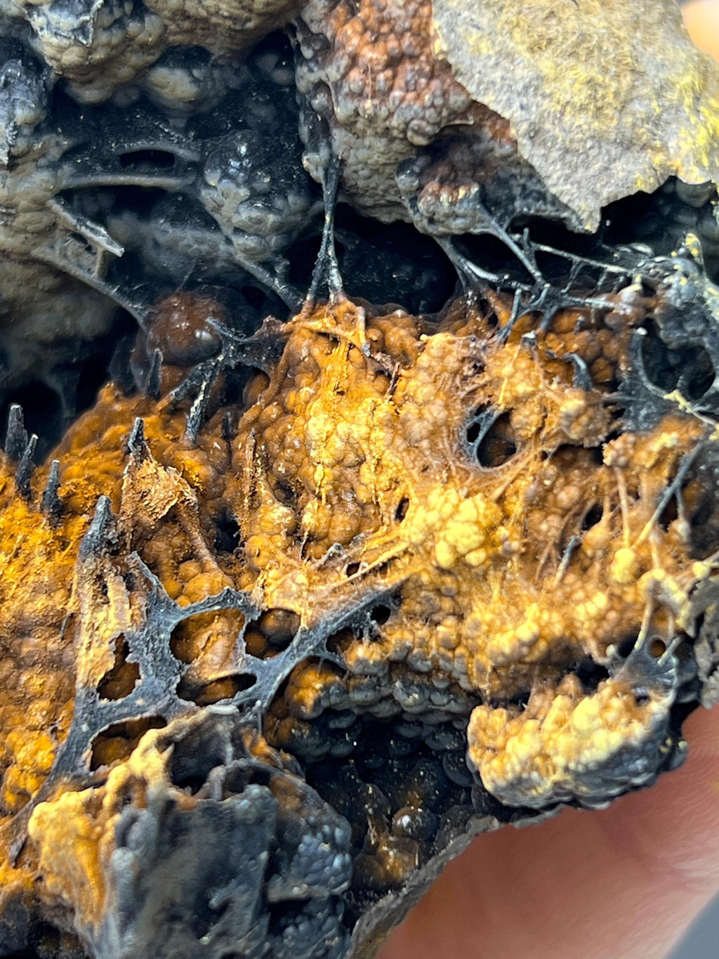 Museum Grade Limonite With Spider Web Formation Stalactite Goethite - Crystal Gemstone AE 