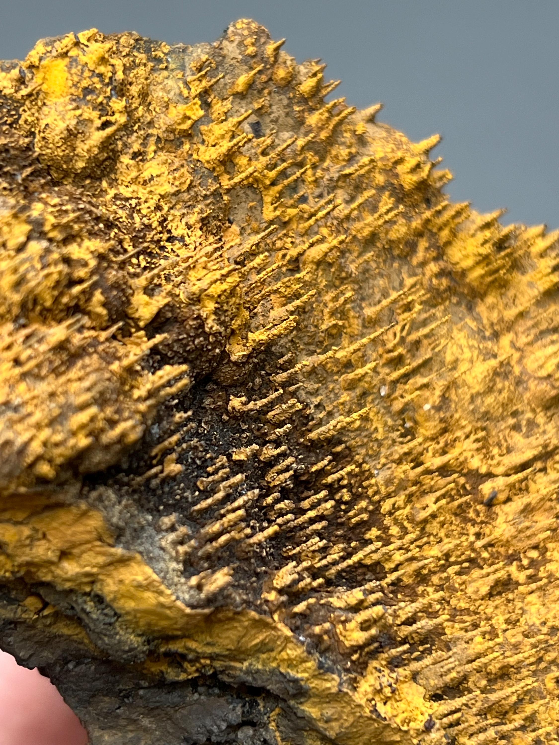Museum quality, Very Showy Limonite On Stalactite Hematite, Special Collection Piece - Crystal Gemstone AE 