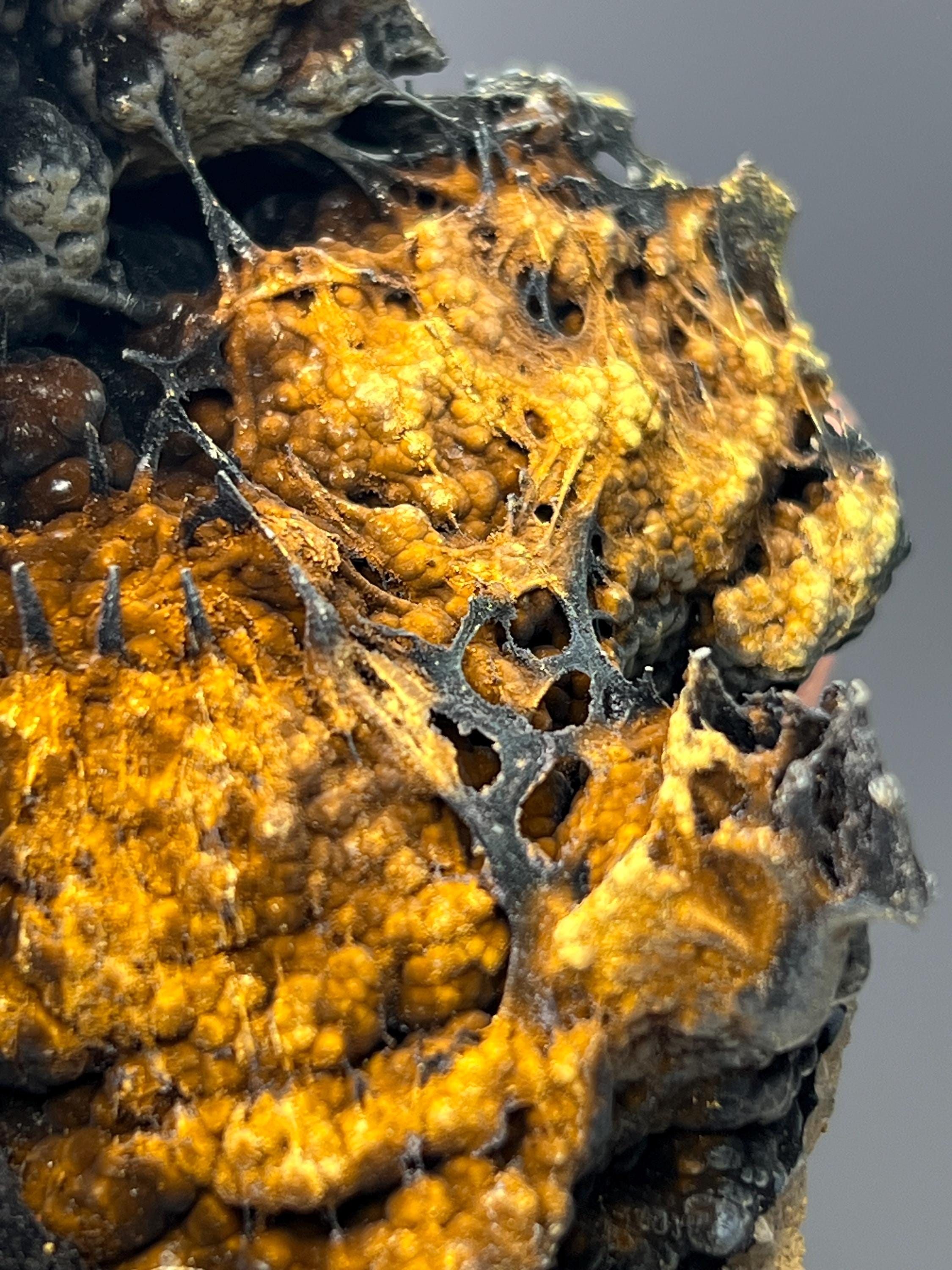 Museum Grade Limonite With Spider Web Formation Stalactite Goethite - Crystal Gemstone AE 