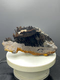 Museum Grade, Very Special Limonite With Stalactite Goethite Specimen - Crystal Gemstone AE 