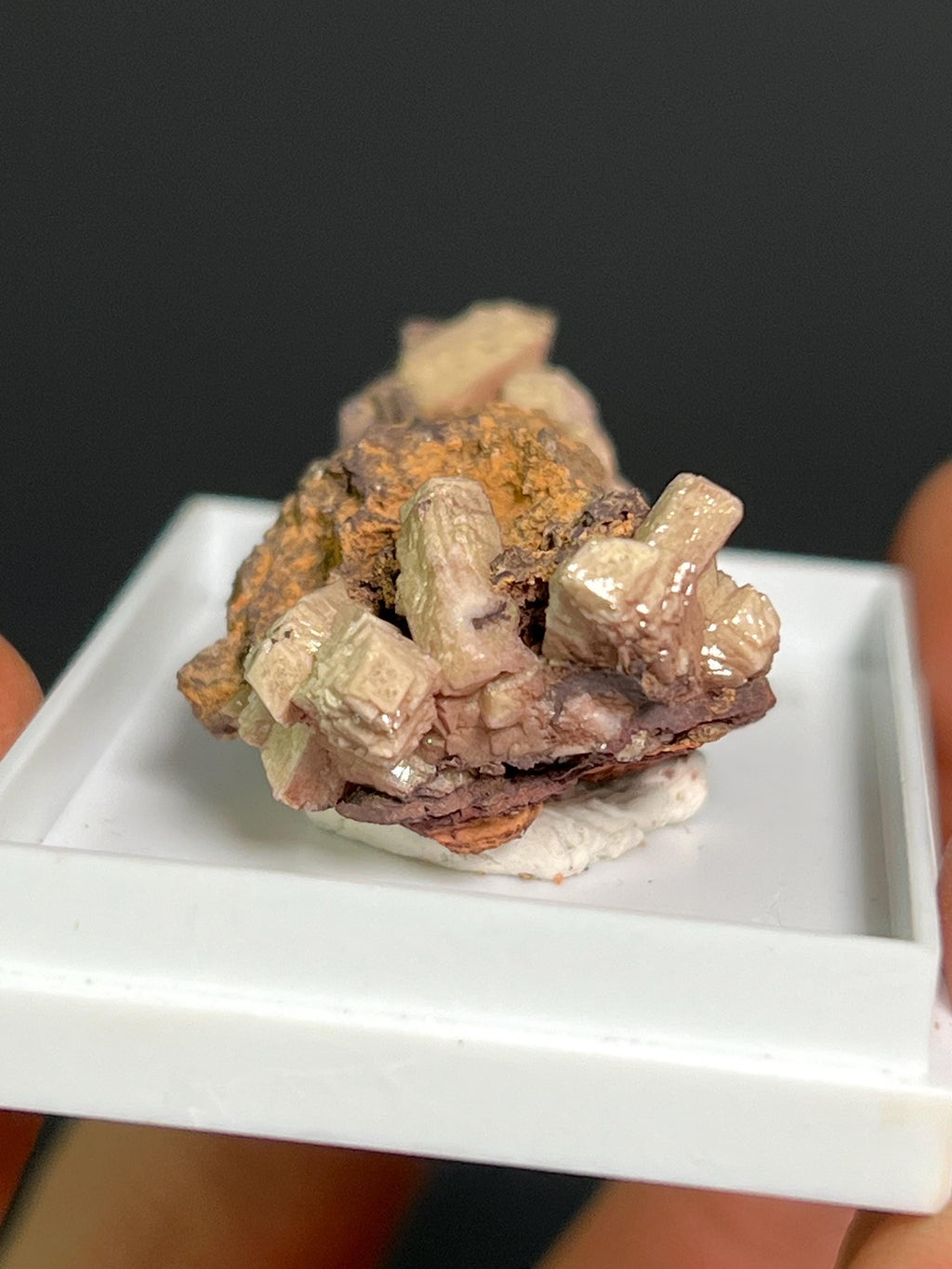 Very Rare And Unique Poldervaartite Specimen - Crystal Gemstone AE 