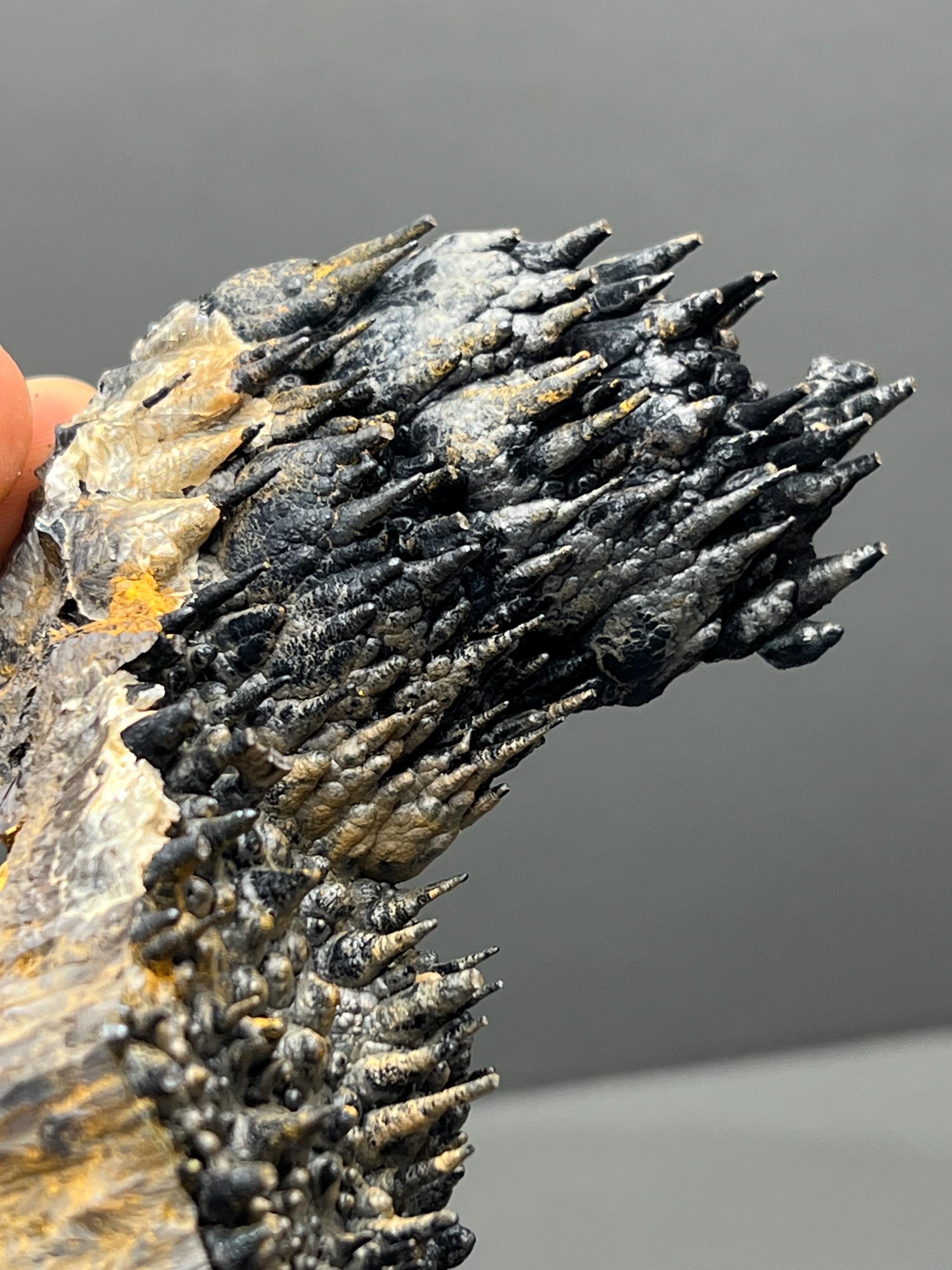 Limonite And Specularite On Stalactite Goethite - Crystal Gemstone AE 