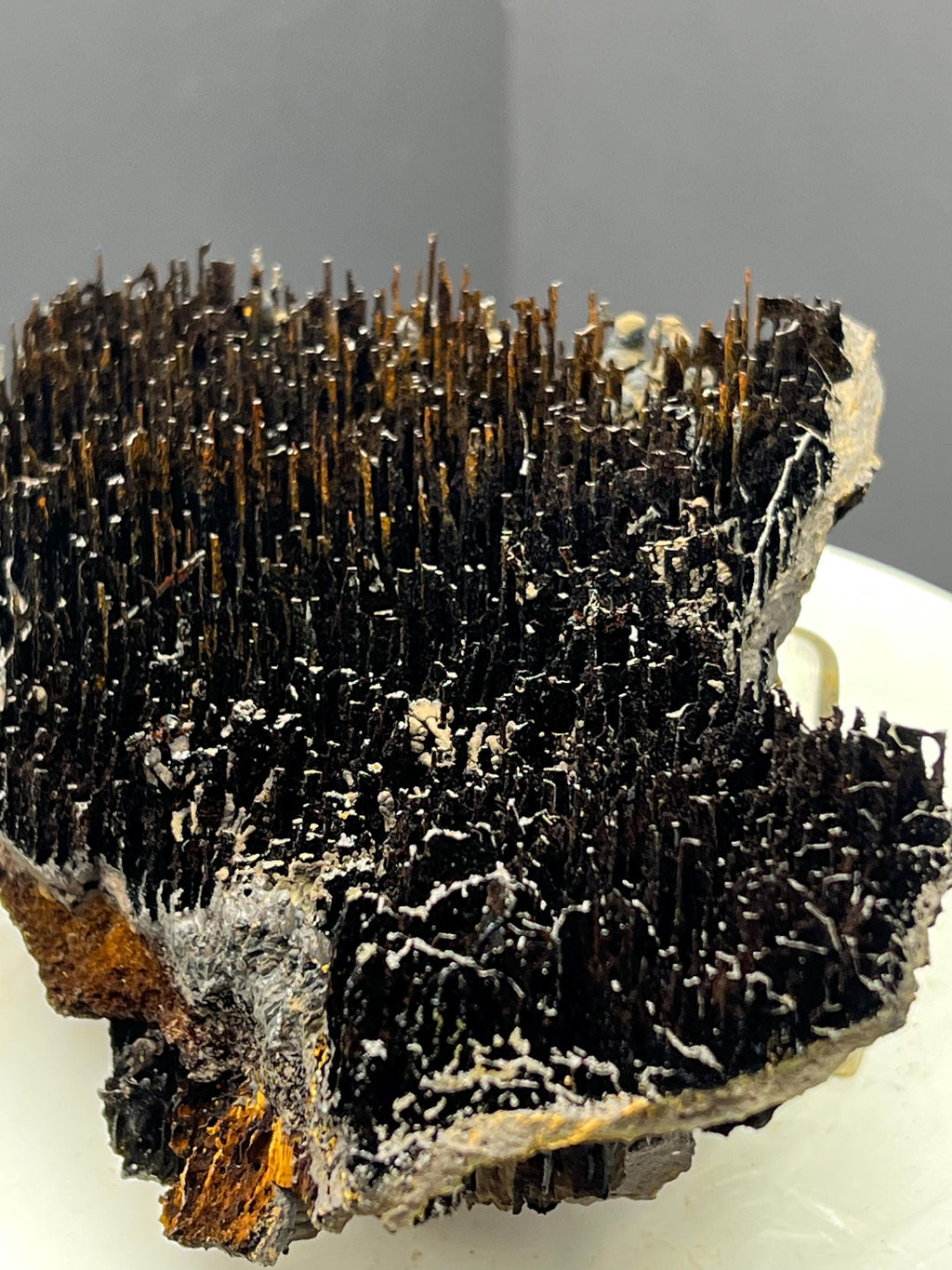 Museum Quality! Limonite With Stalactite Goethite Specimen - Crystal Gemstone AE 