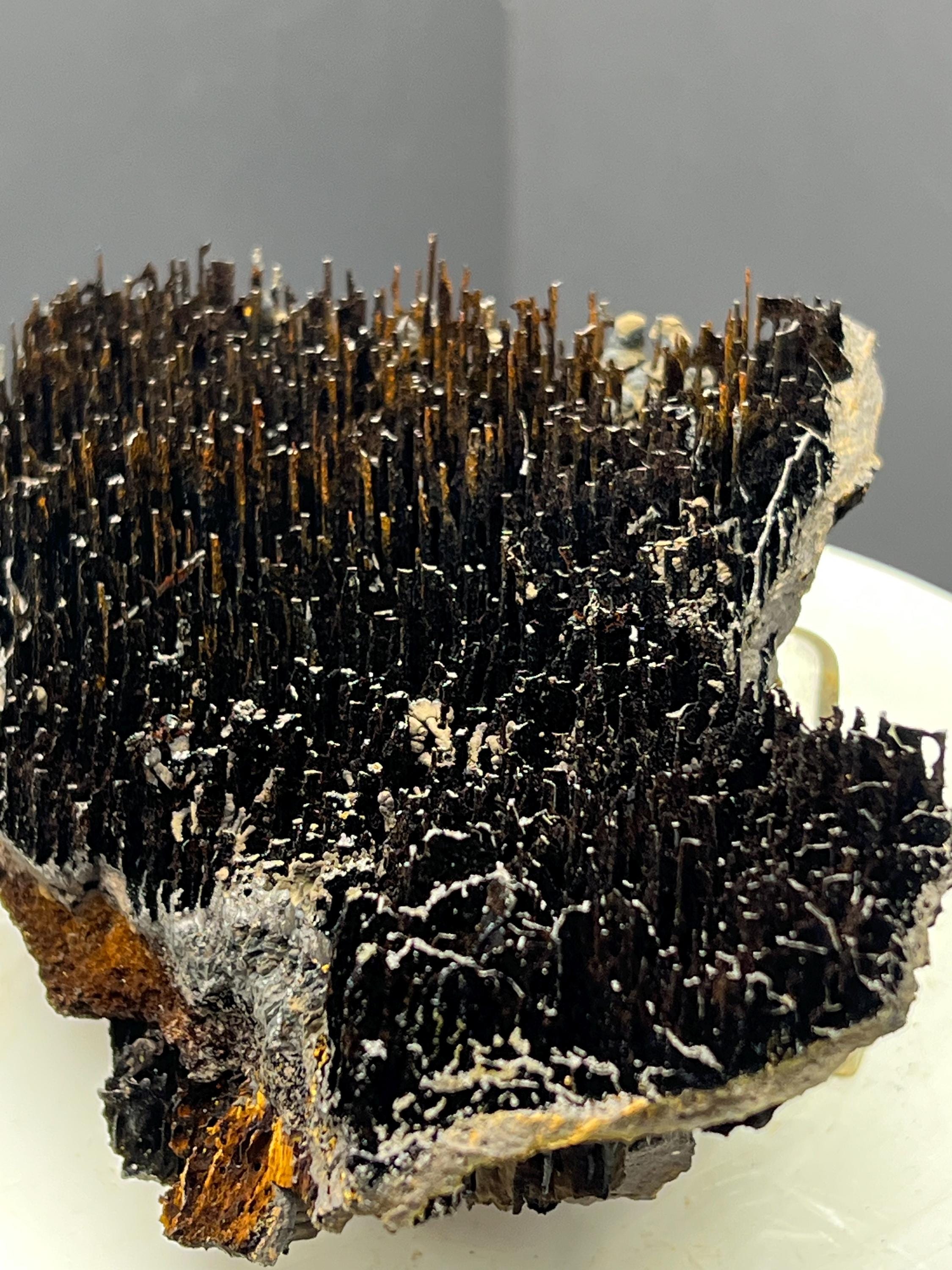 Museum Quality! Limonite With Stalactite Goethite Specimen - Crystal Gemstone AE 