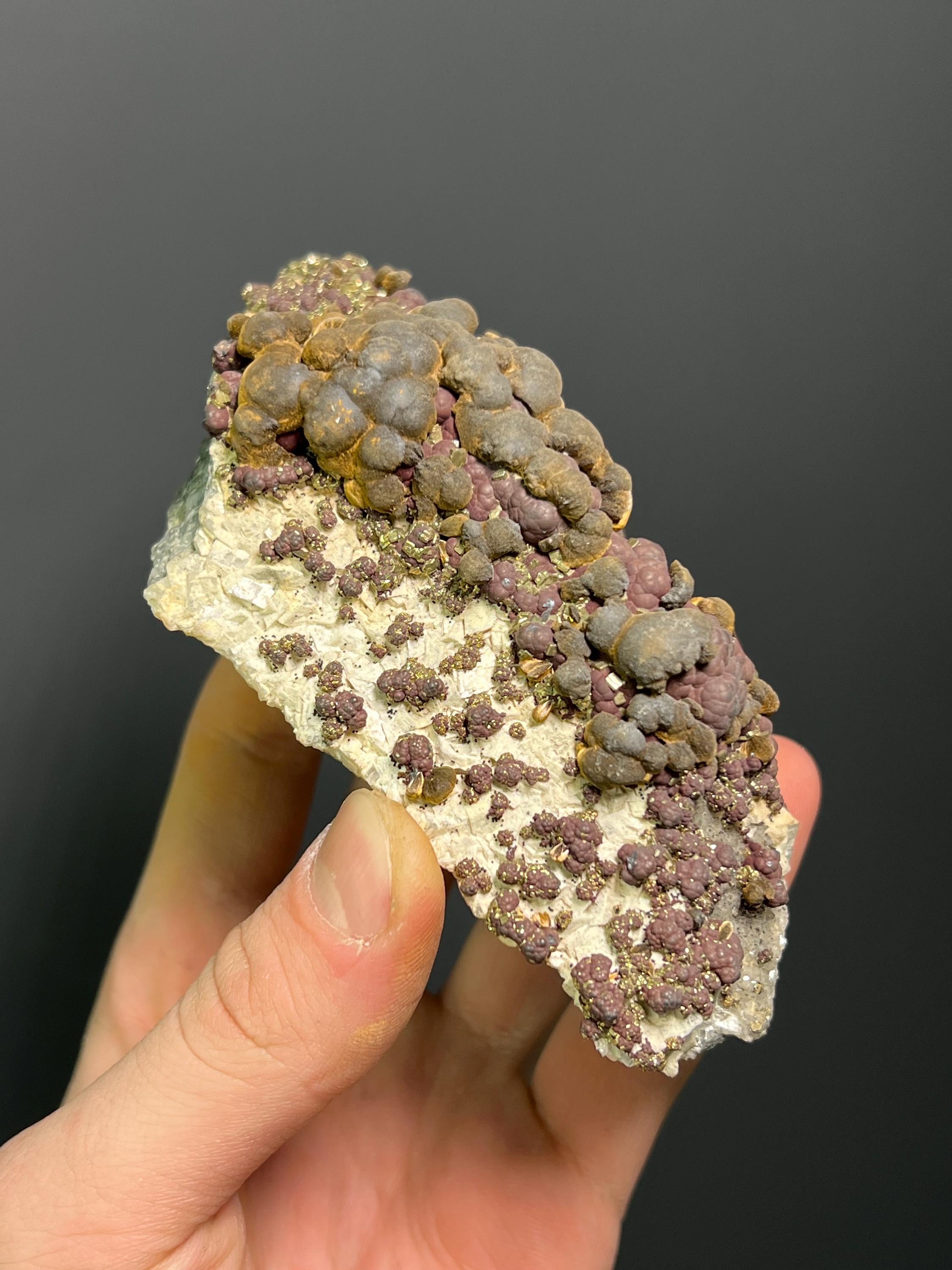 Reniform Goethite, Pyrite, and Marcasite Specimen, Wawa Ontario - Crystal Gemstone AE 