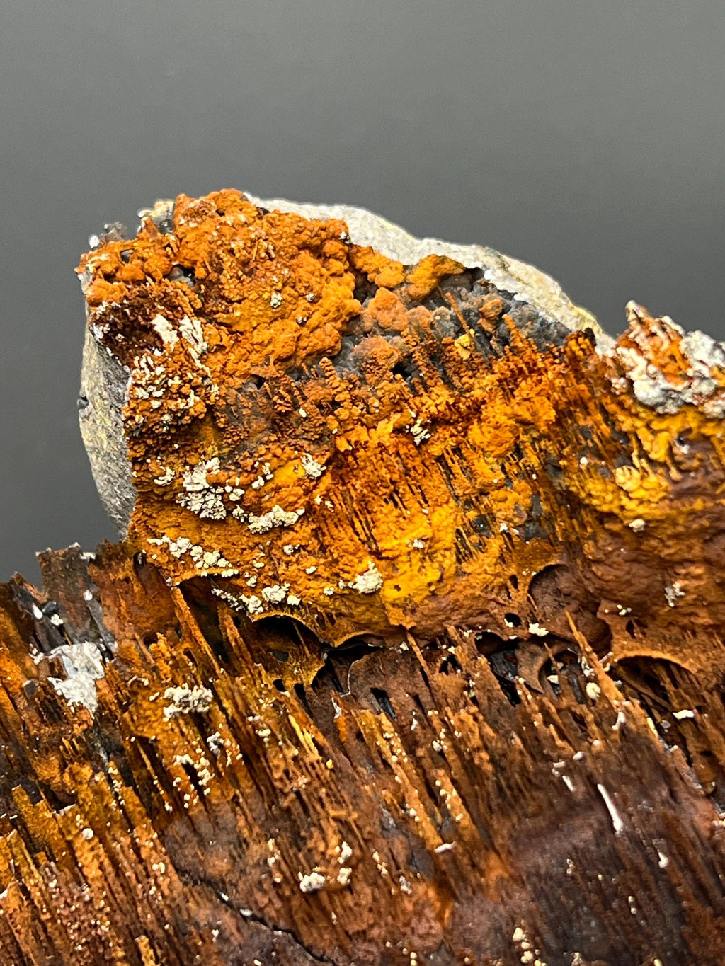 Museum Grade, Limonite And Specularite With Stalactite Goethite Specimen, For Special Collection Piece! - Crystal Gemstone AE 