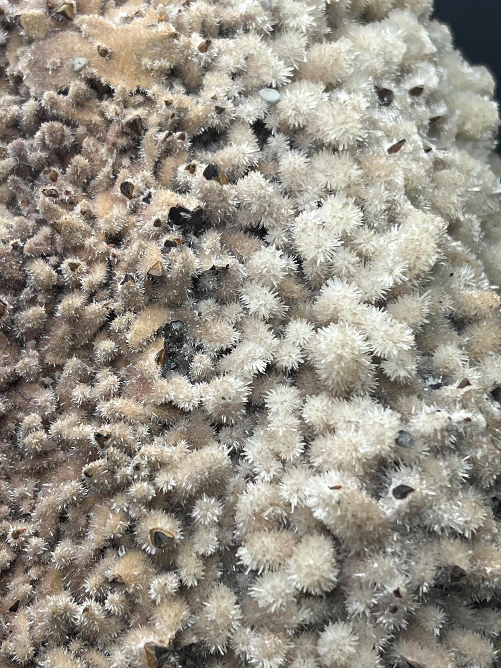 Feather Crystal Calcite Specimen - Crystal Gemstone AE 