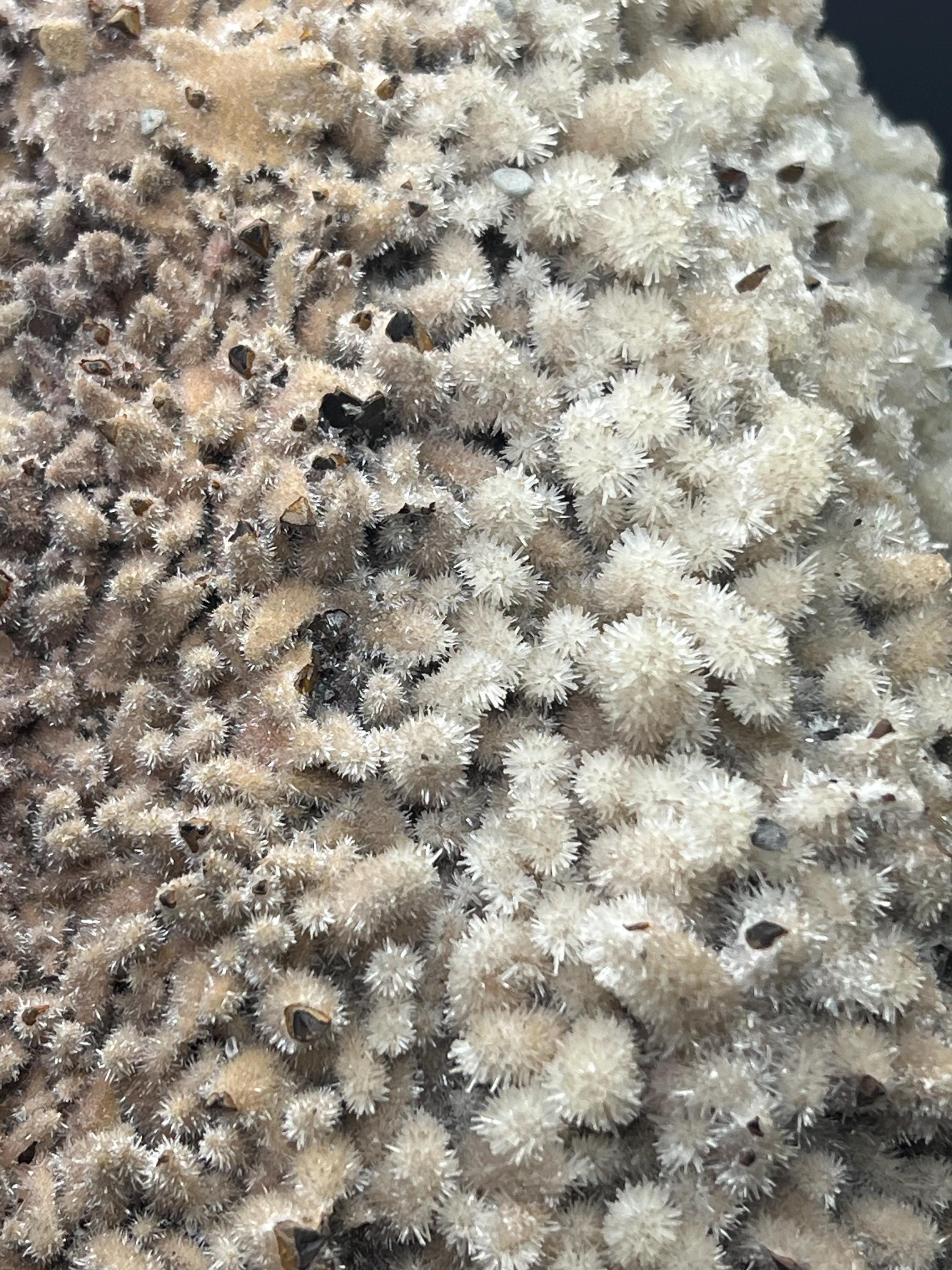 Feather Crystal Calcite Specimen - Crystal Gemstone AE 