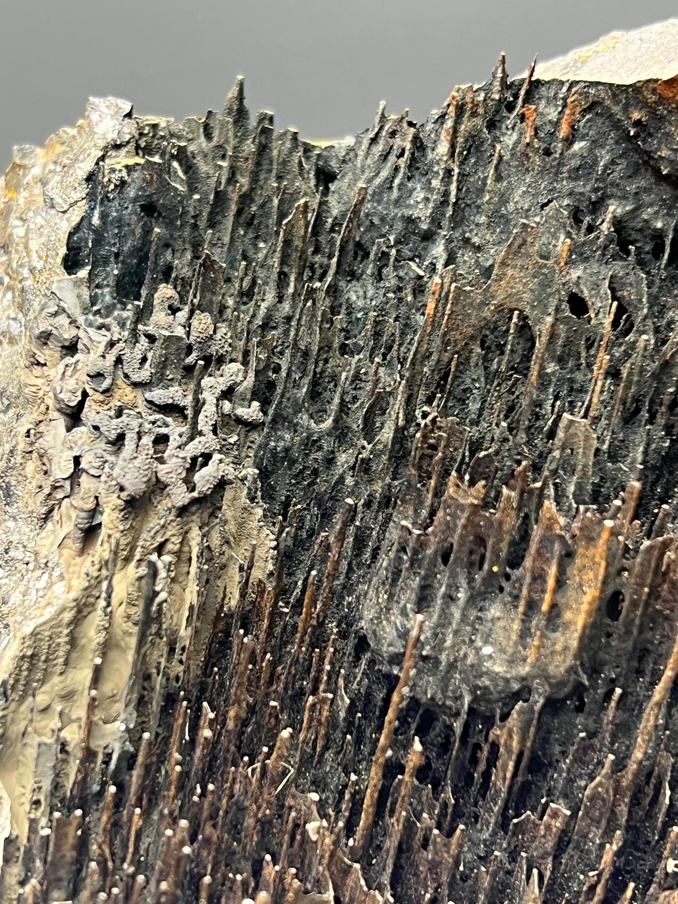 Very Showy Limonite With Stalactite Goethite Specimen - Crystal Gemstone AE 