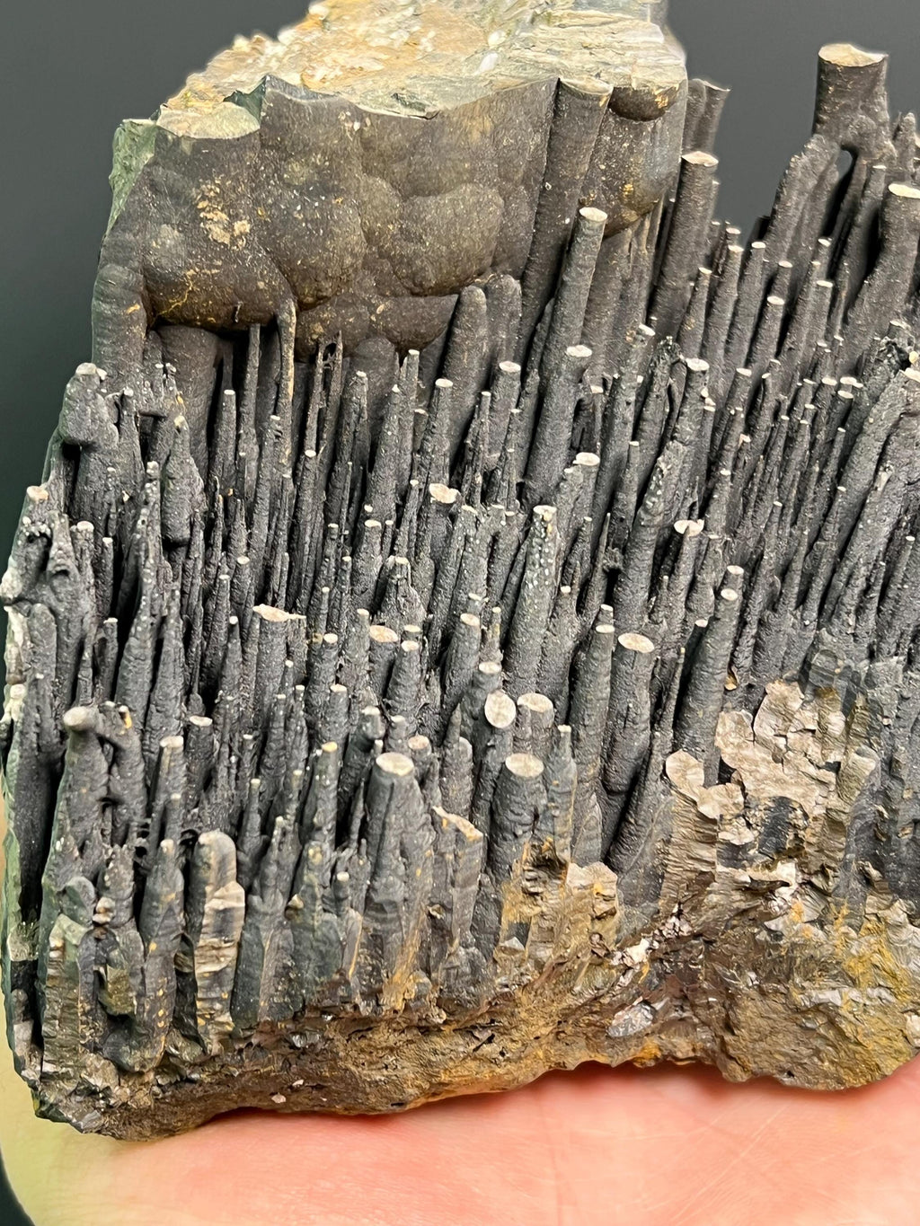 Museum Grade Stalactite Goethite Specimen - Crystal Gemstone AE 