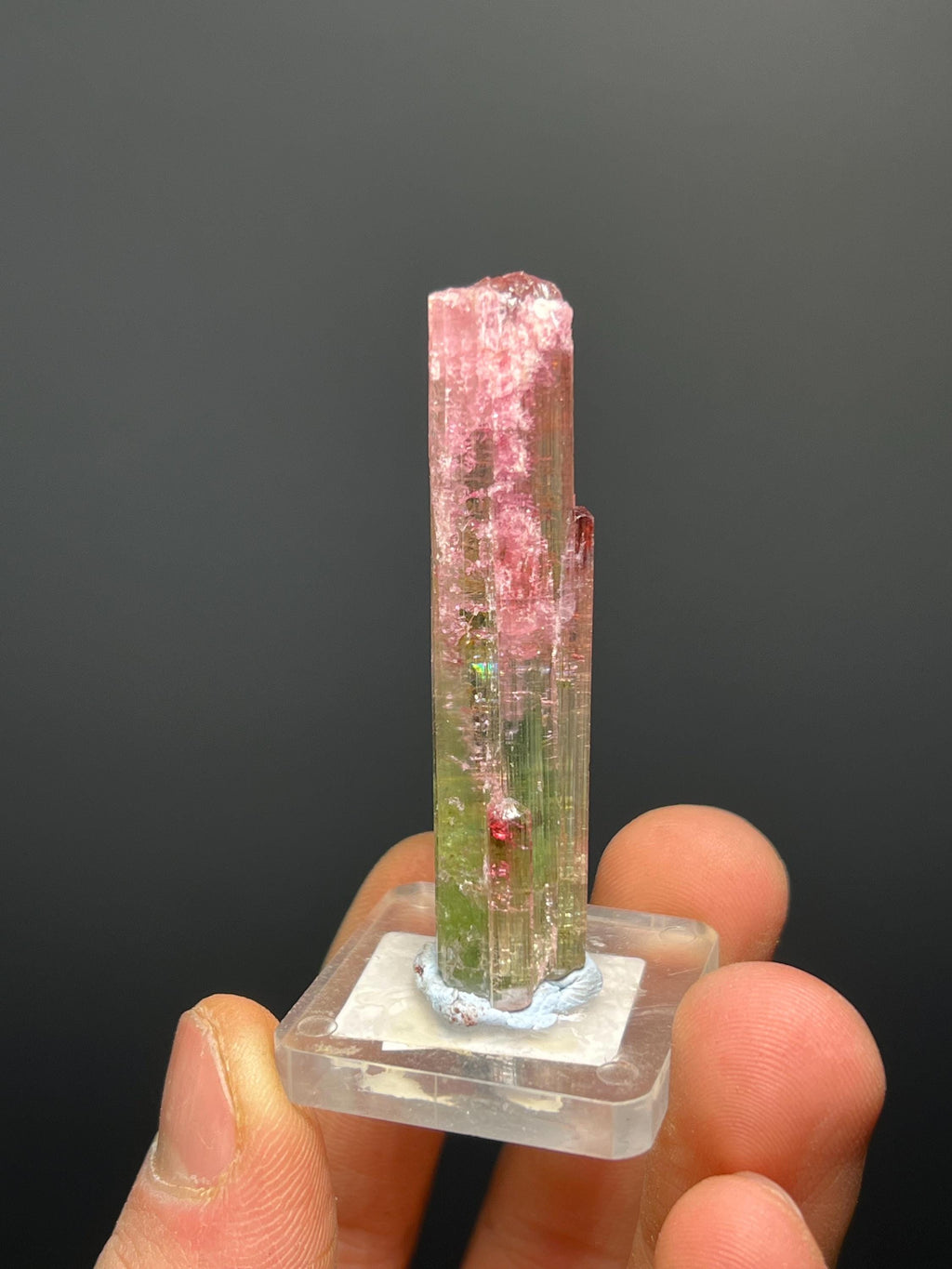 Special Elbaite Tourmaline Specimen - Crystal Gemstone AE 