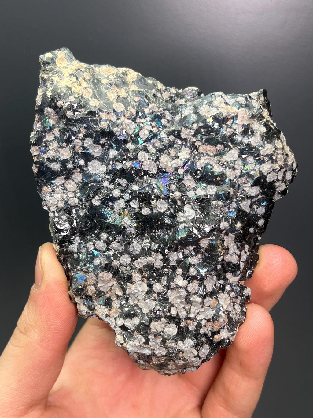 Double Sided Colored Alloy Snowflake Obsidian - Crystal Gemstone AE 