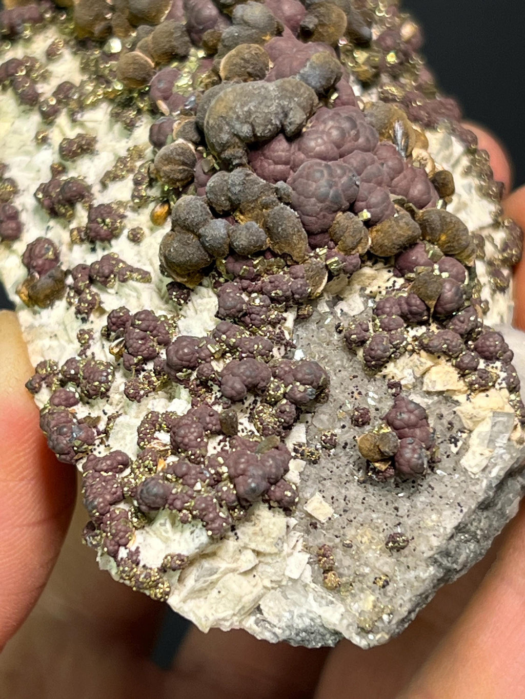 Reniform Goethite, Pyrite, and Marcasite Specimen, Wawa Ontario - Crystal Gemstone AE 