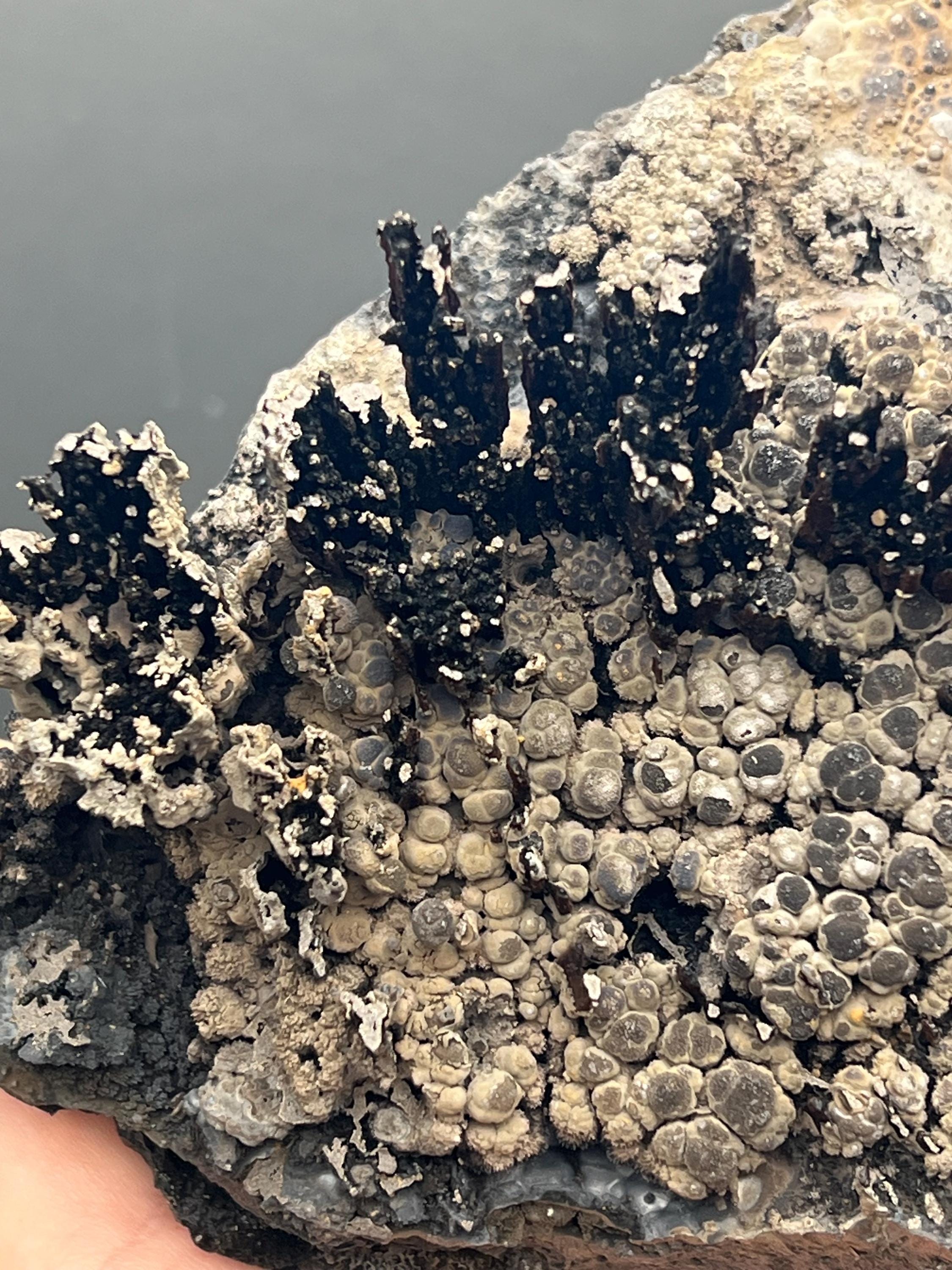 Museum Grade Limonite And Specularite On Stalactite Goethite - Crystal Gemstone AE 