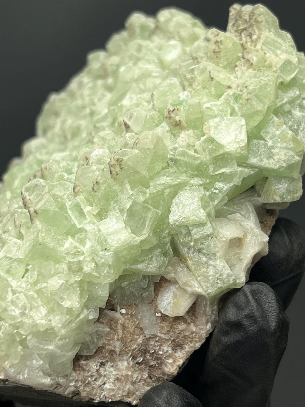 Indian Apophyllite Specimen: "Bringer of Light" Crystal - Crystal Gemstone AE 