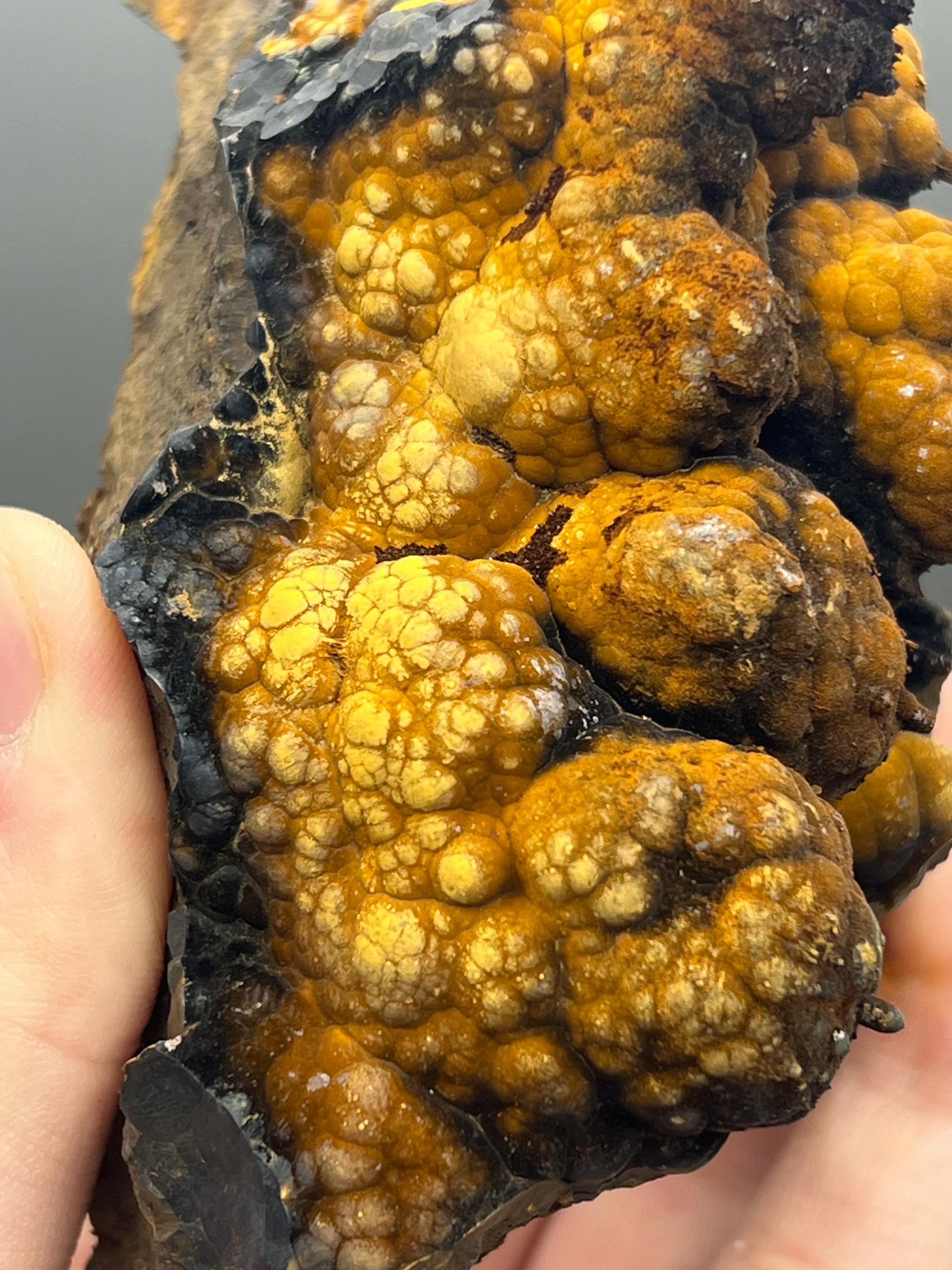 High Grade Limonite On Botryoidal Goethite With Stalactites - Crystal Gemstone AE 