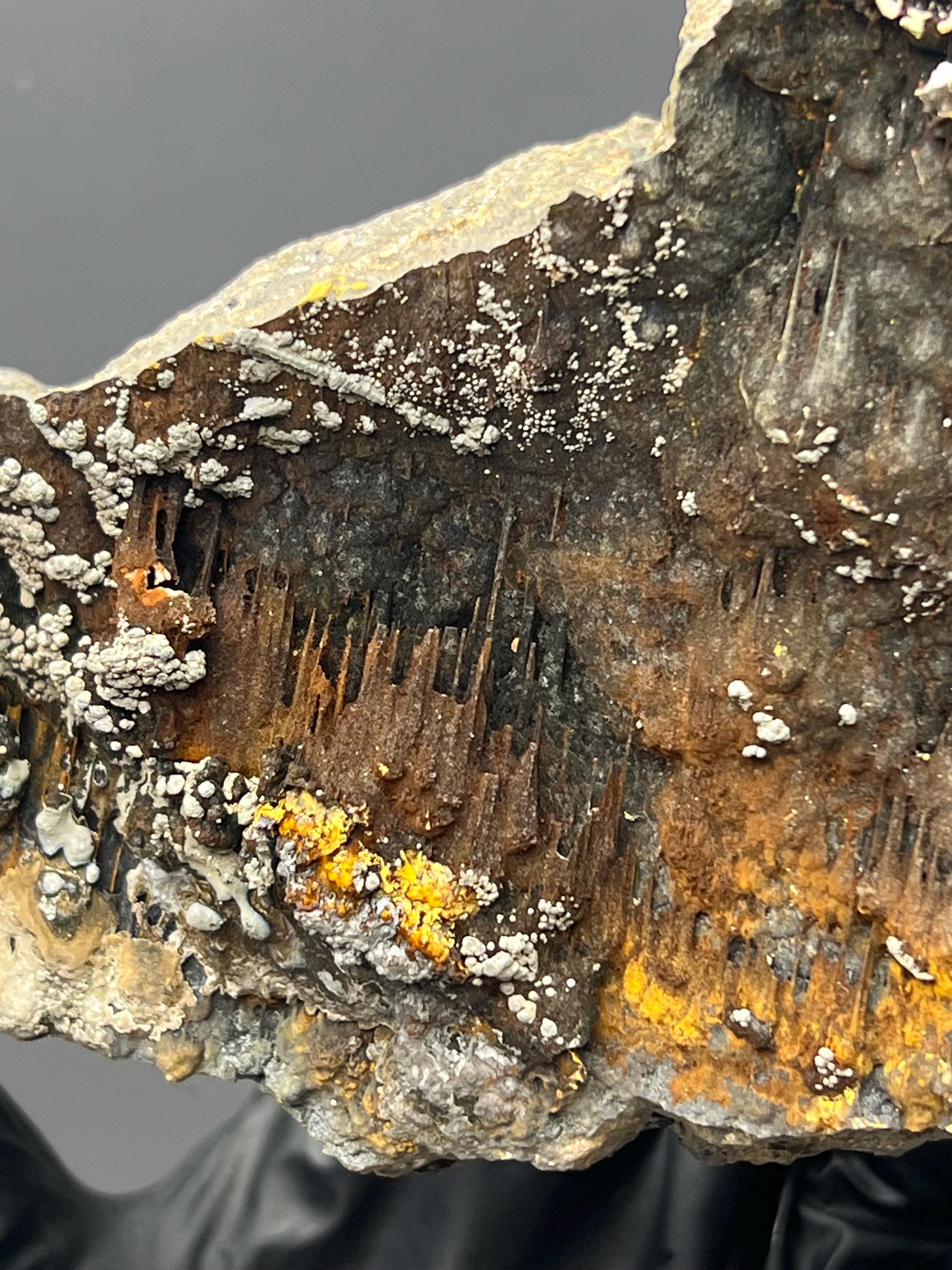 Museum Grade Limonite And Specularite On Stalactite Goethite - Crystal Gemstone AE 