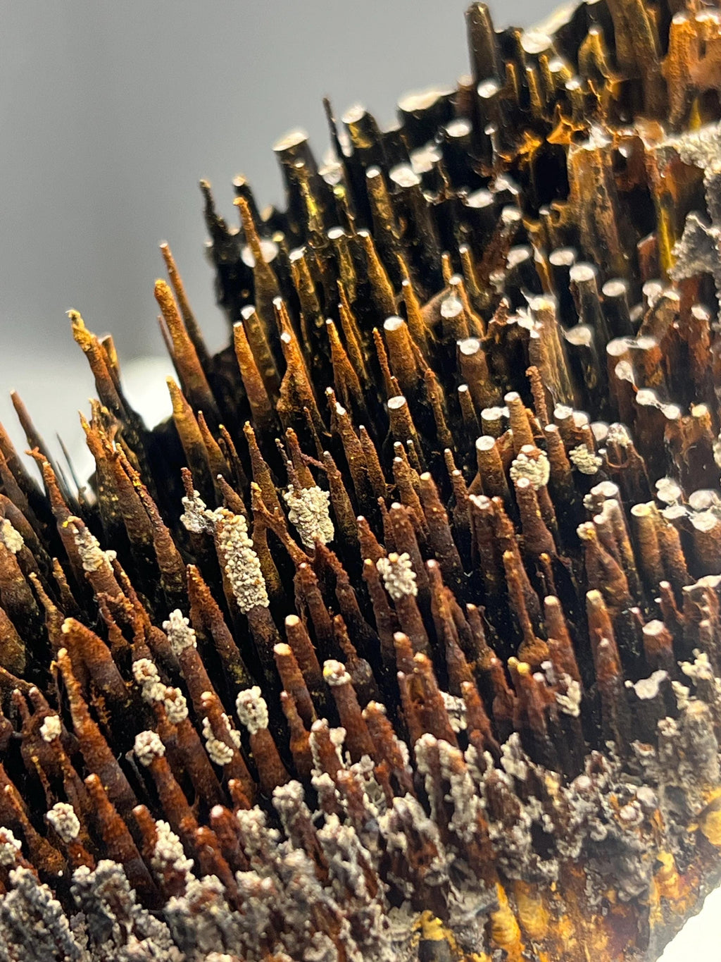 Museum quality, Very showy limonite and specularite with stalactite Goethite, special collections piece - Crystal Gemstone AE 