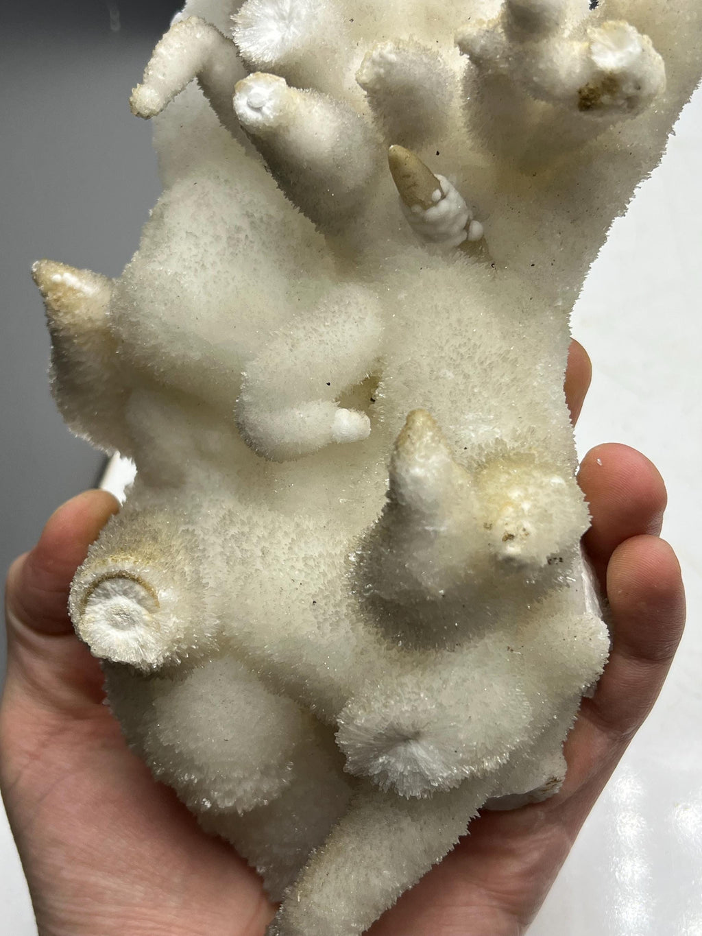 Special Formed Large Size Stalactite Aragonite Mineral, From Turkey - Crystal Gemstone AE 