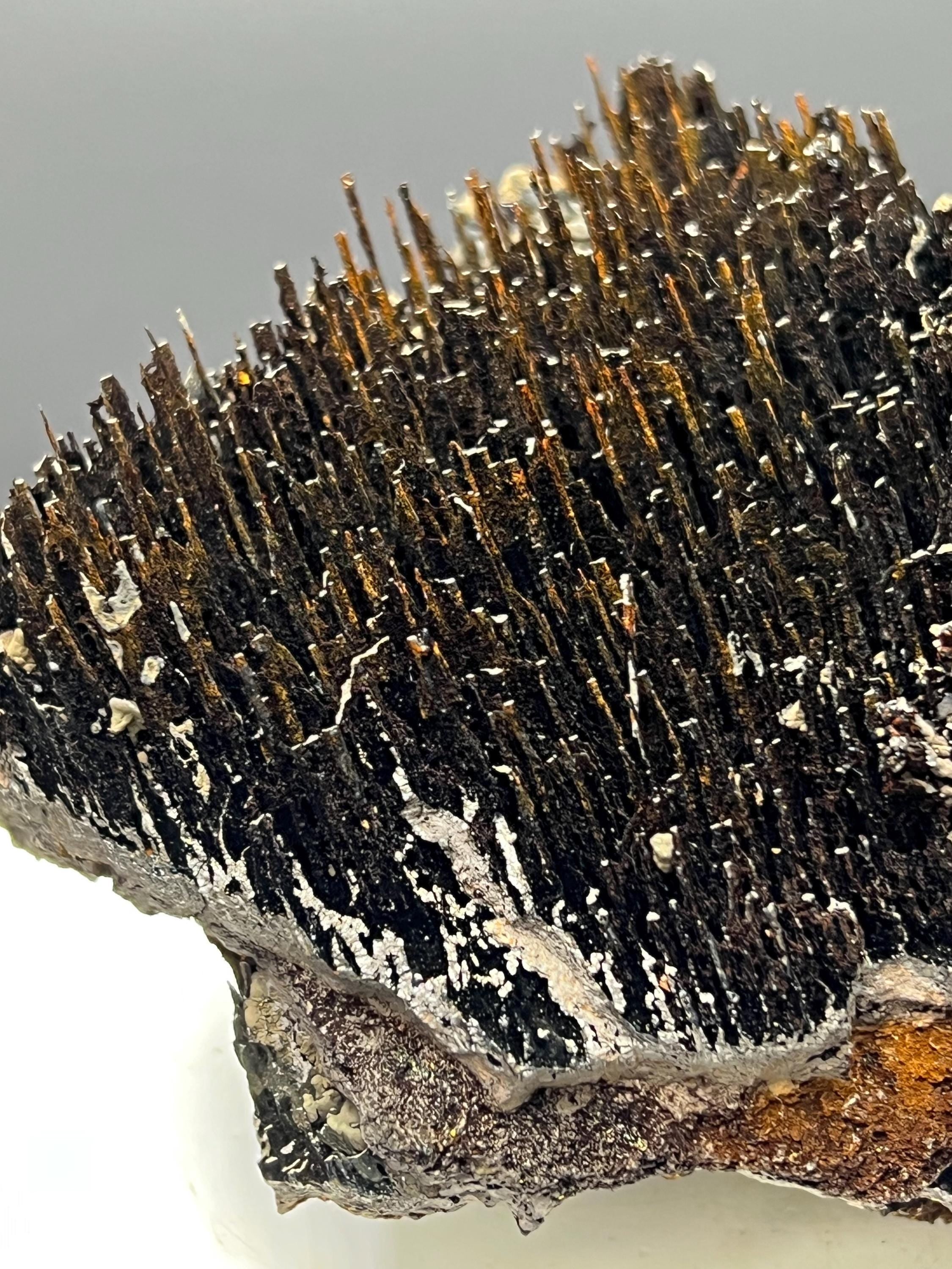 Museum Quality! Limonite With Stalactite Goethite Specimen - Crystal Gemstone AE 
