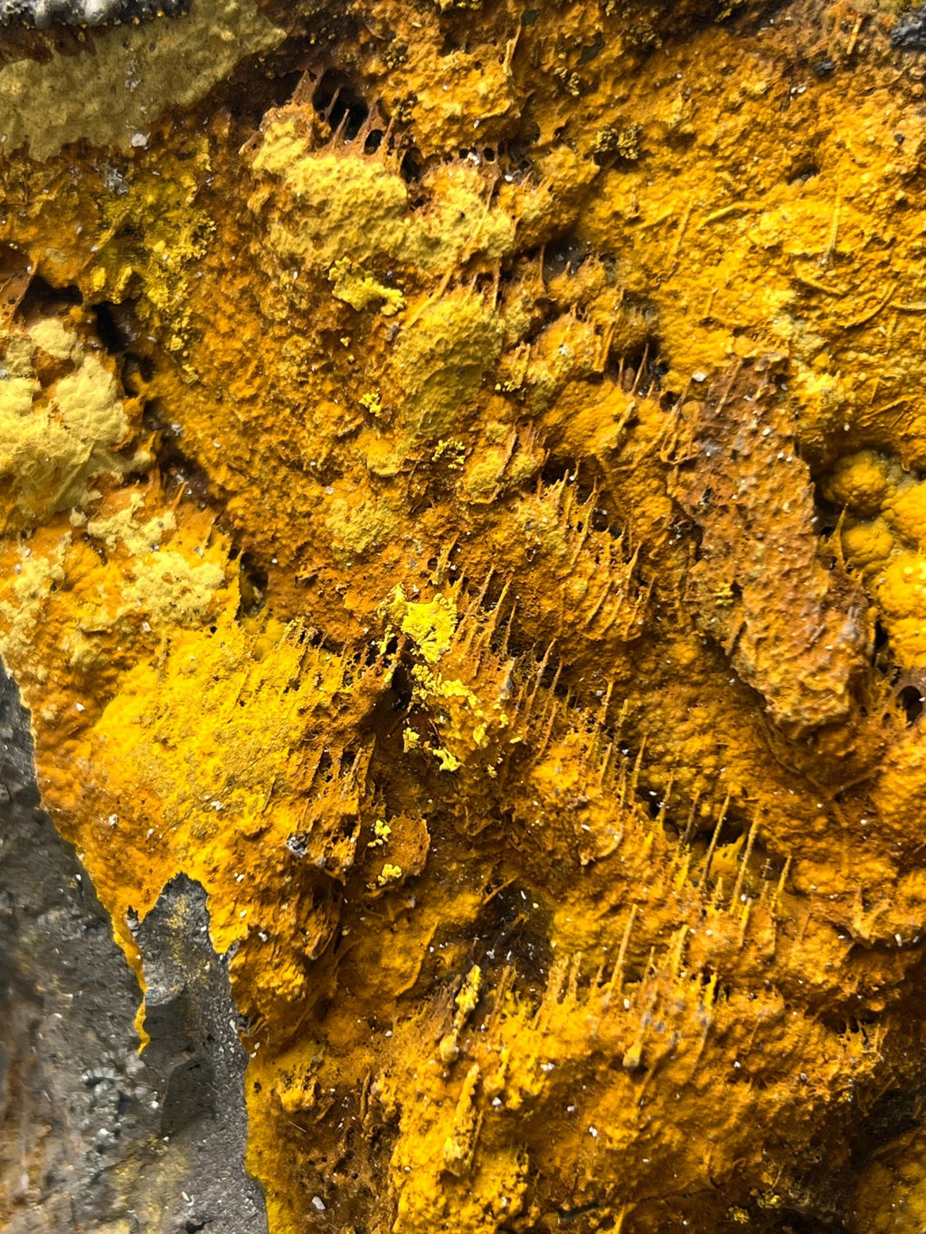 Museum Quality, Very Special And Showy Limonite With Stalactite Goethite - Crystal Gemstone AE 