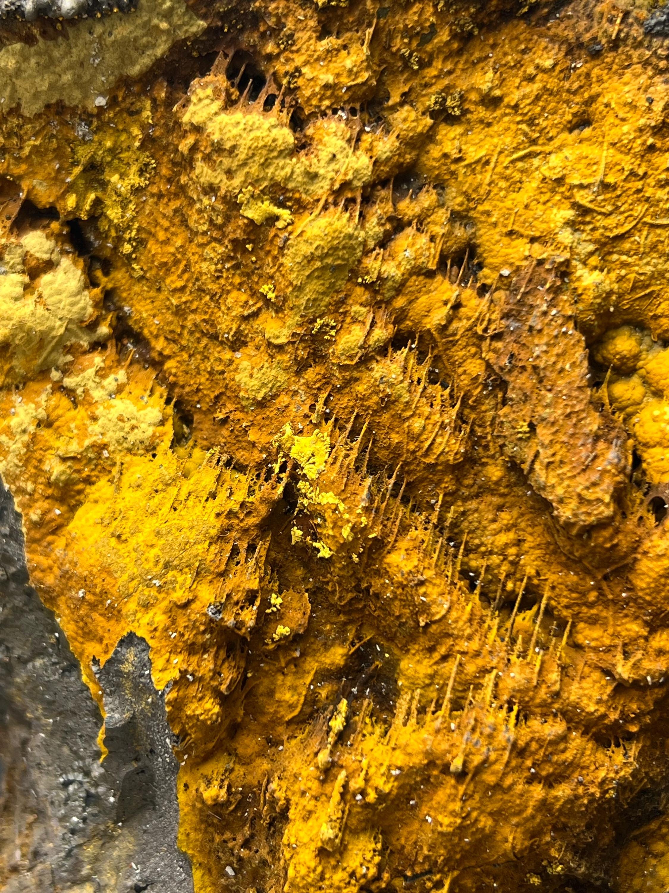 Museum Quality, Very Special And Showy Limonite With Stalactite Goethite - Crystal Gemstone AE 