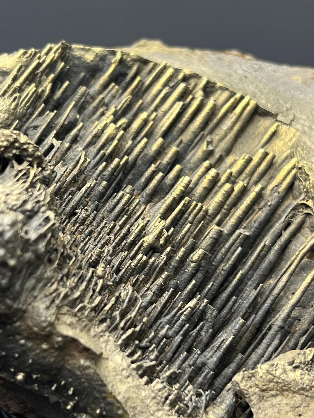 Museum Grade, Golden Color Stalactite Goethite - Crystal Gemstone AE 