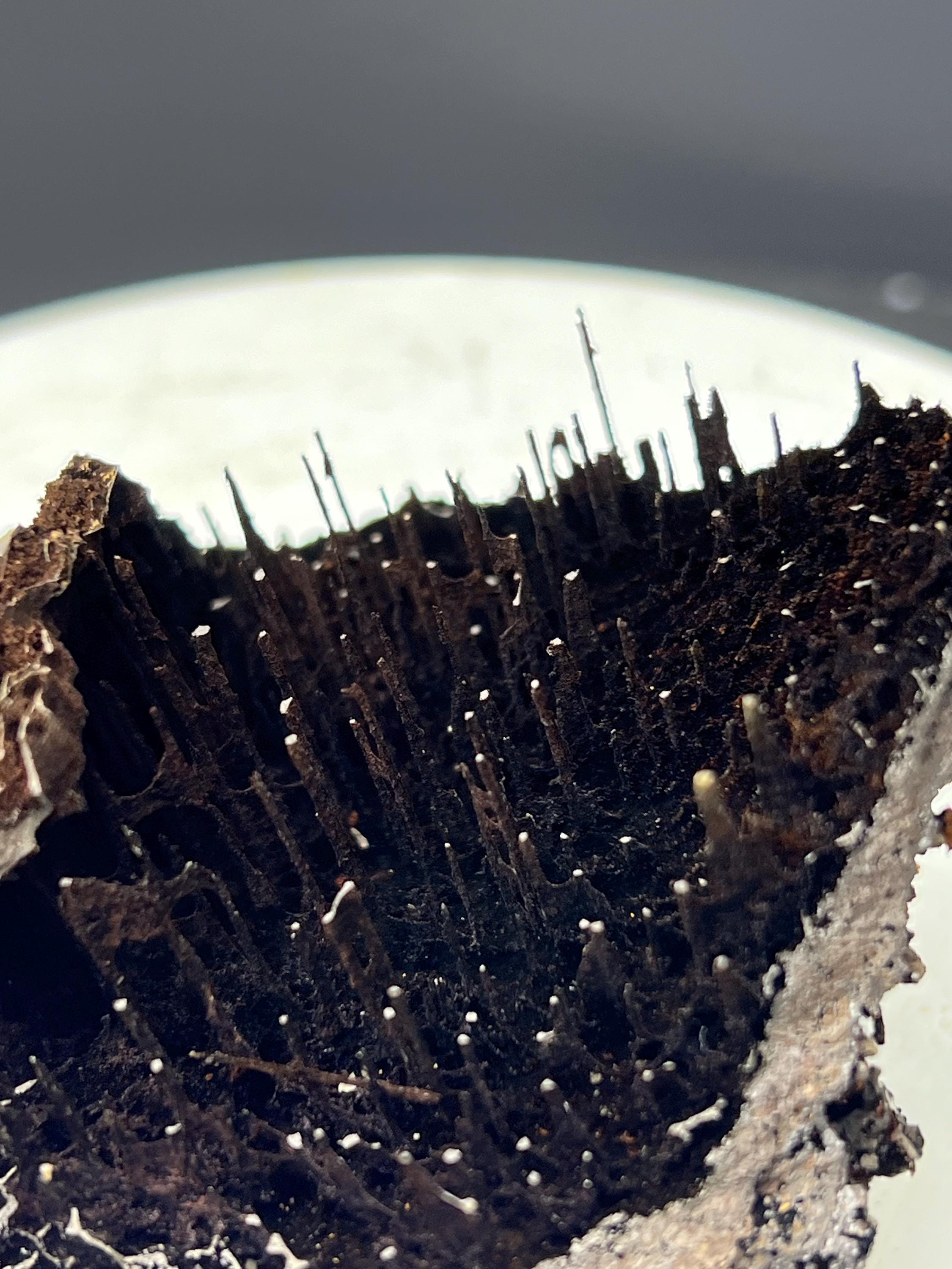 Very Special Formation Limonite With Stalactite Goethite Specimen, For Special Collection - Crystal Gemstone AE 