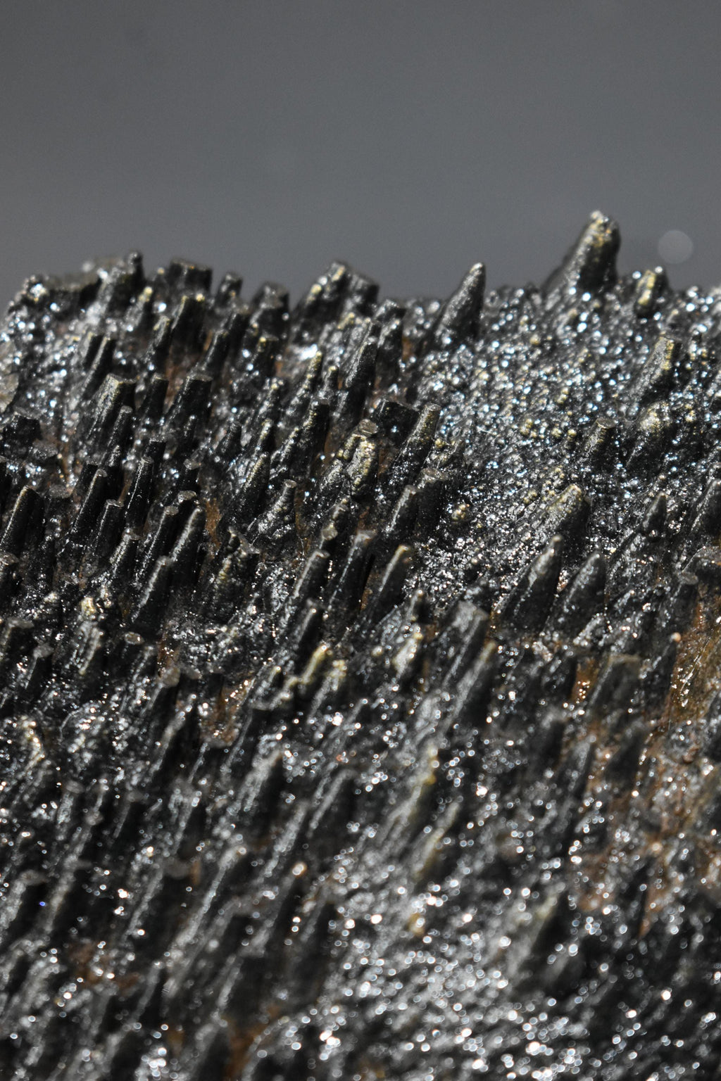 Museum Quality! Very Special Golden Color Stalactite Goethite, From Turkey, Special Collection Piece - Crystal Gemstone AE 