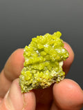 Museum Grade, Pyromorphite Specimen, 16gram - Crystal Gemstone AE 