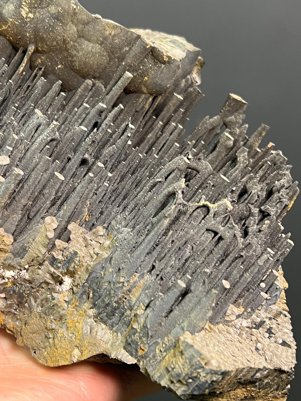 Museum Grade Stalactite Goethite Specimen - Crystal Gemstone AE 