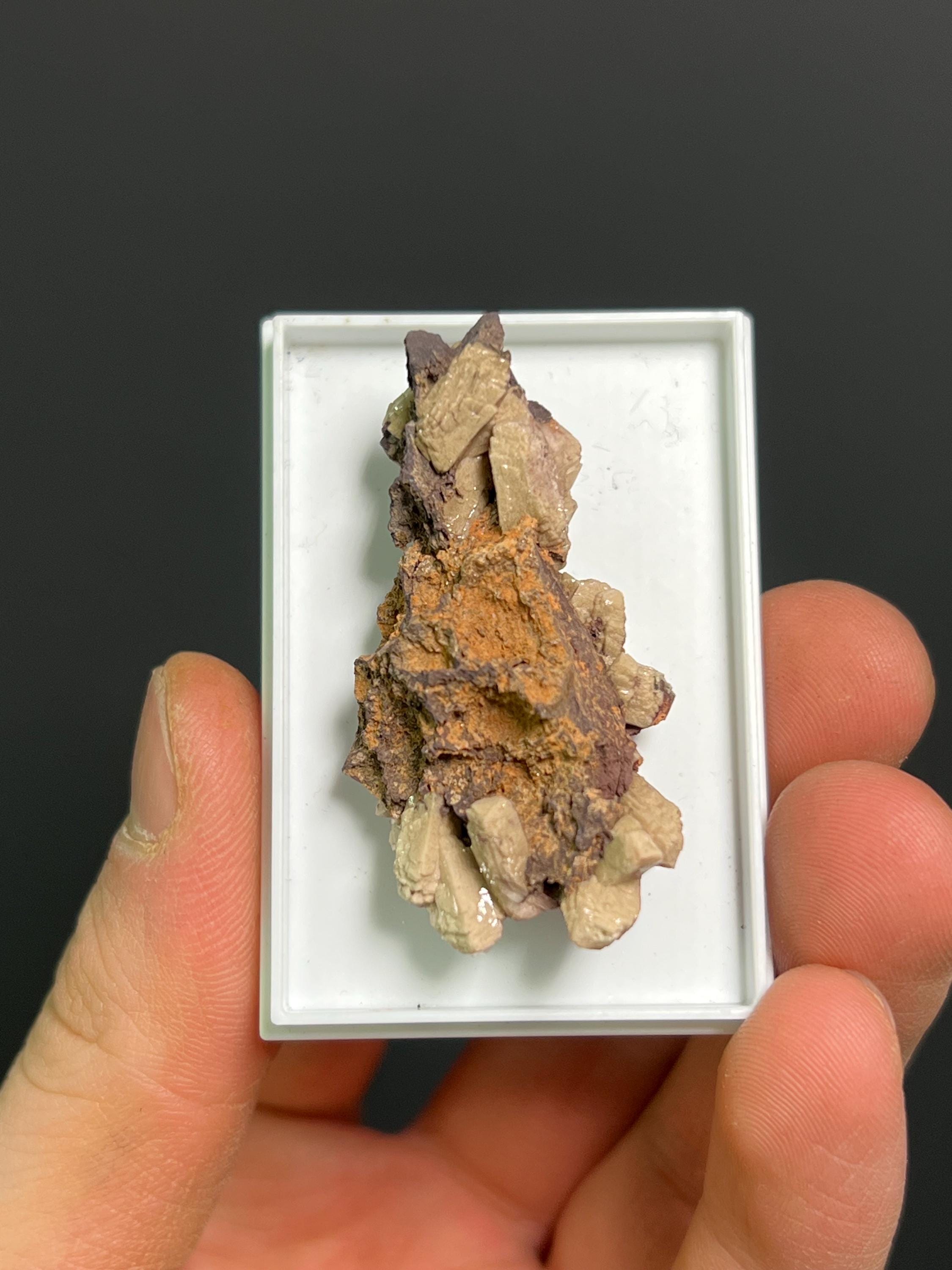 Very Rare And Unique Poldervaartite Specimen - Crystal Gemstone AE 