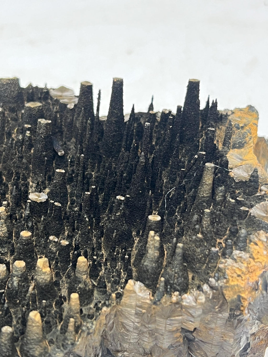 Museum quality, Very Special Extra Large stalactite Goethite, Special Collection Piece - Crystal Gemstone AE 