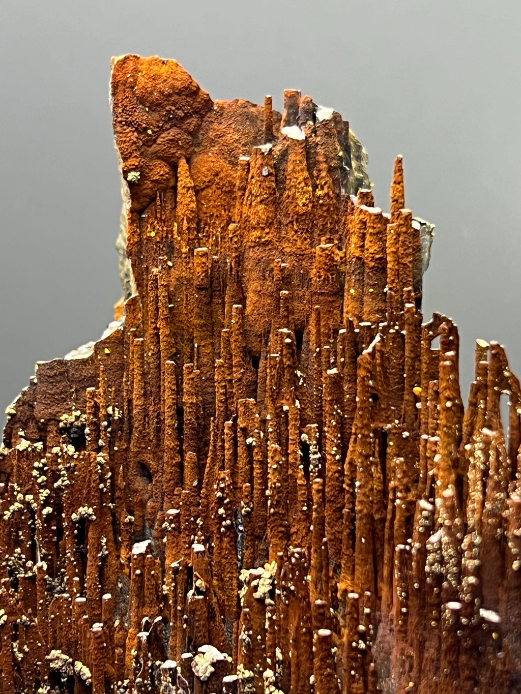 Museum Grade Limonite With Velvet Function Stalactite Goethite - Crystal Gemstone AE 