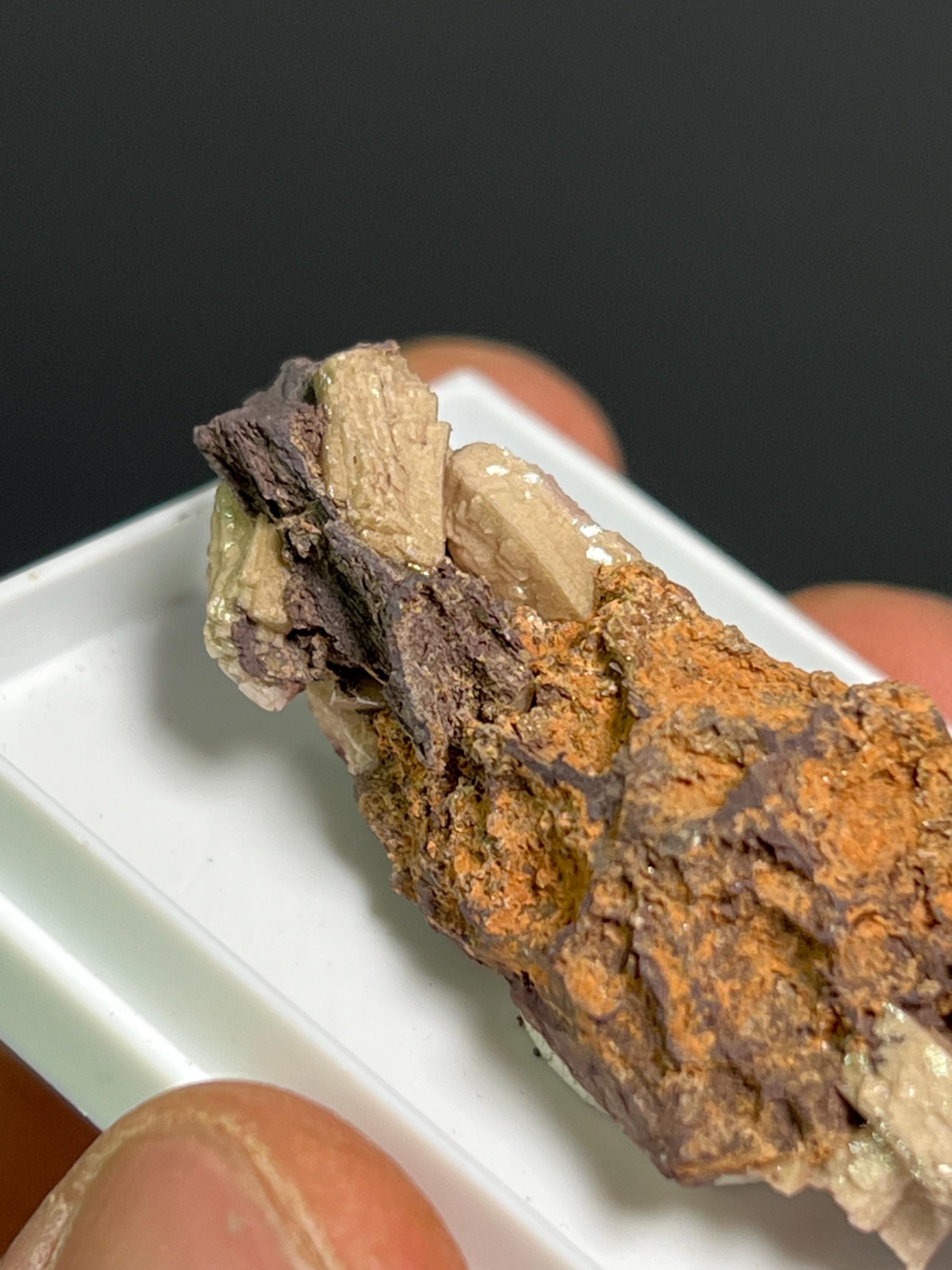 Very Rare And Unique Poldervaartite Specimen - Crystal Gemstone AE 